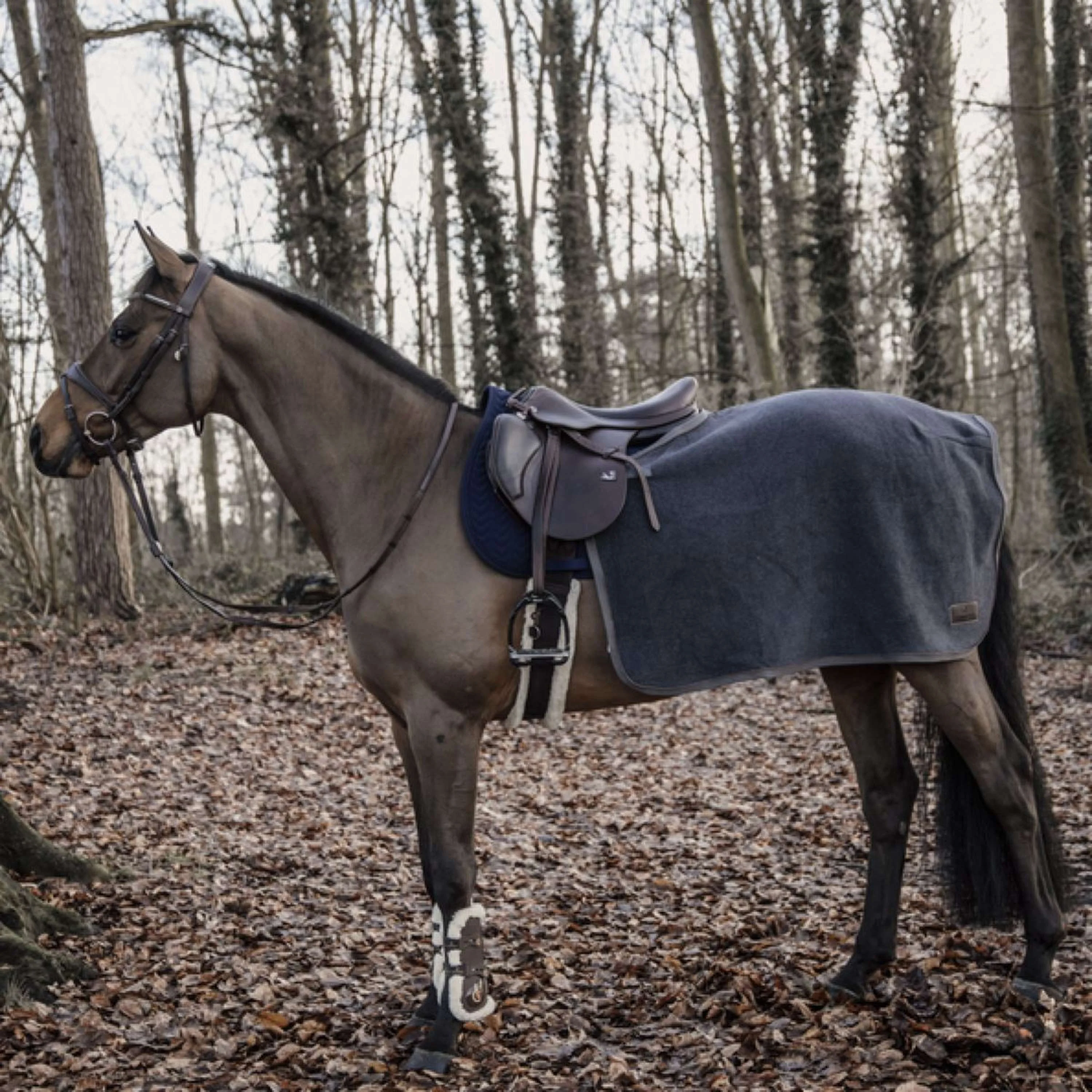 Kentucky Horsewear Coperta da esercizio Grigio scuro