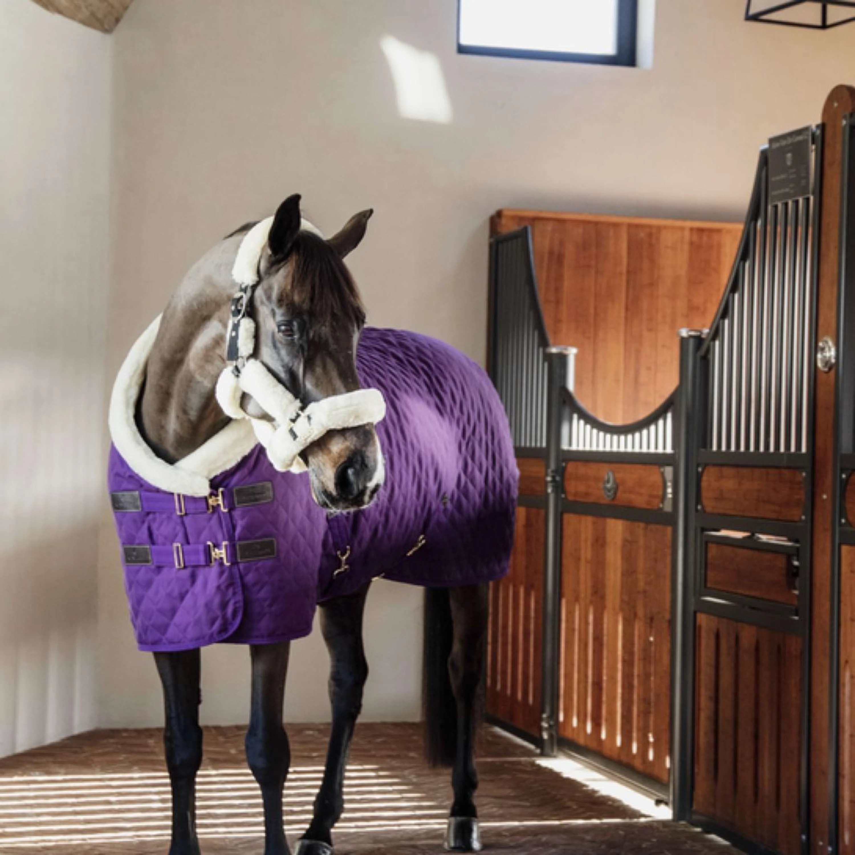 Kentucky Horsewear Coperta da esposizione Royal Viola - Image 6