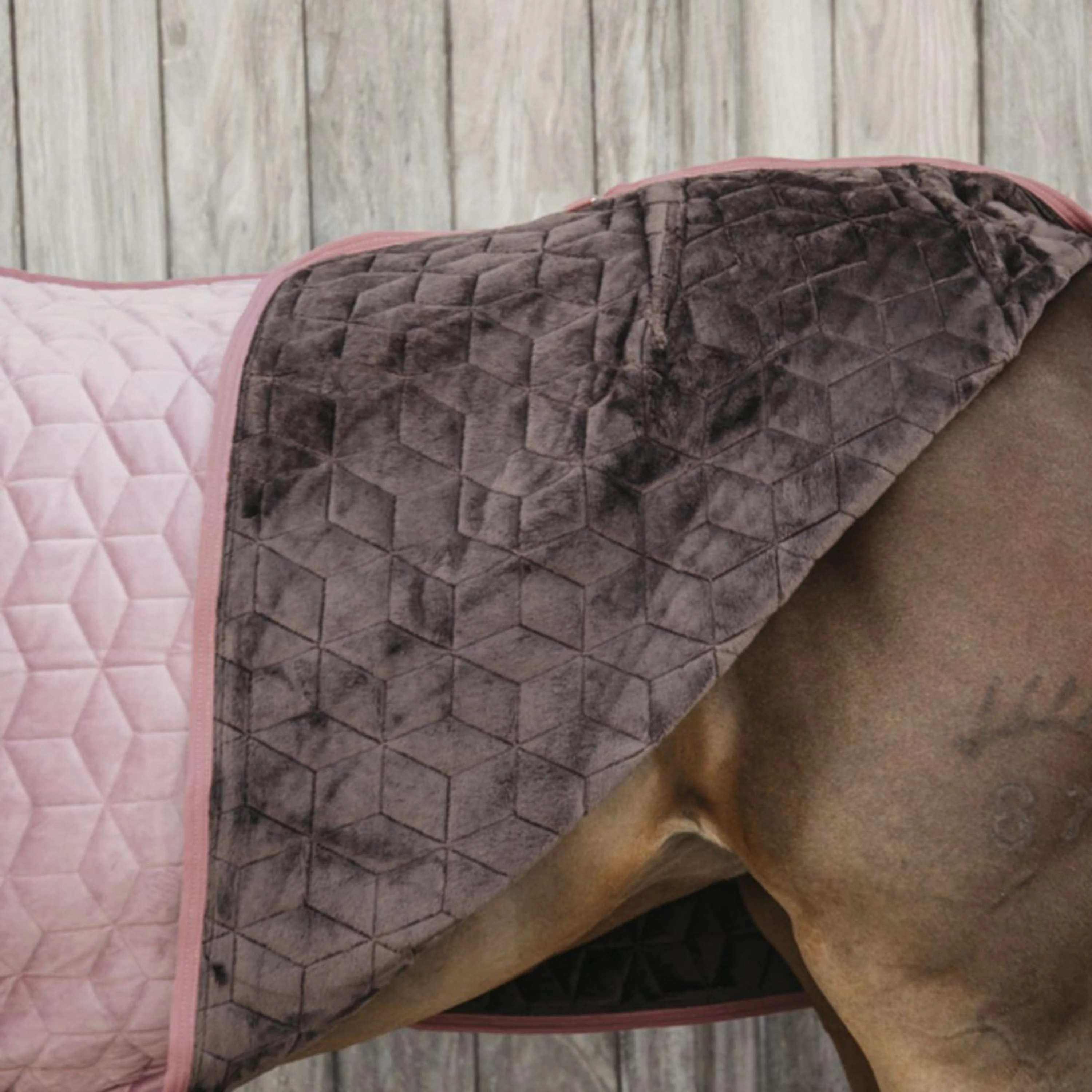 Kentucky Horsewear Coperta da esposizione Velvet Rosa antico - Image 4