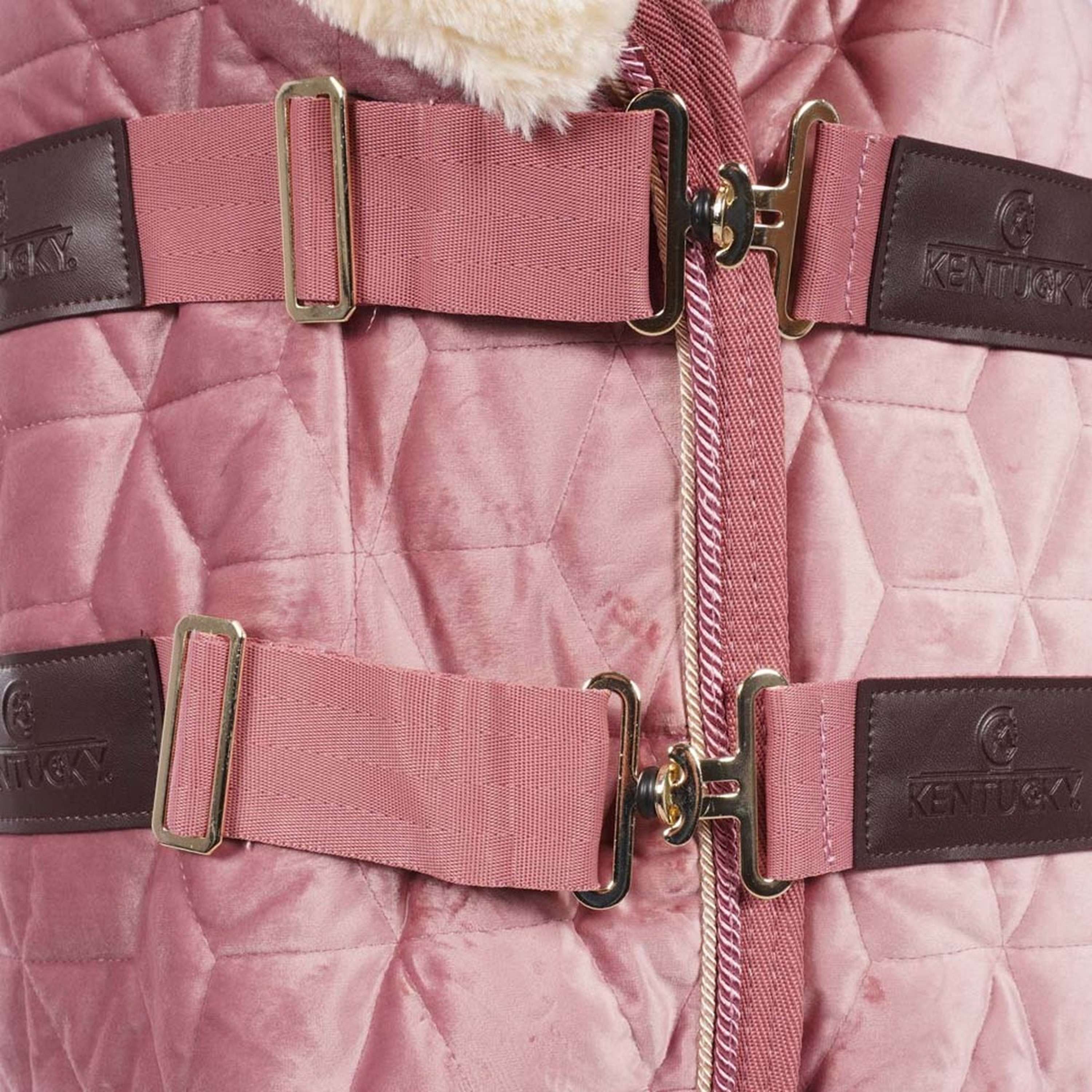 Kentucky Horsewear Coperta da esposizione Velvet Rosa antico - Image 6
