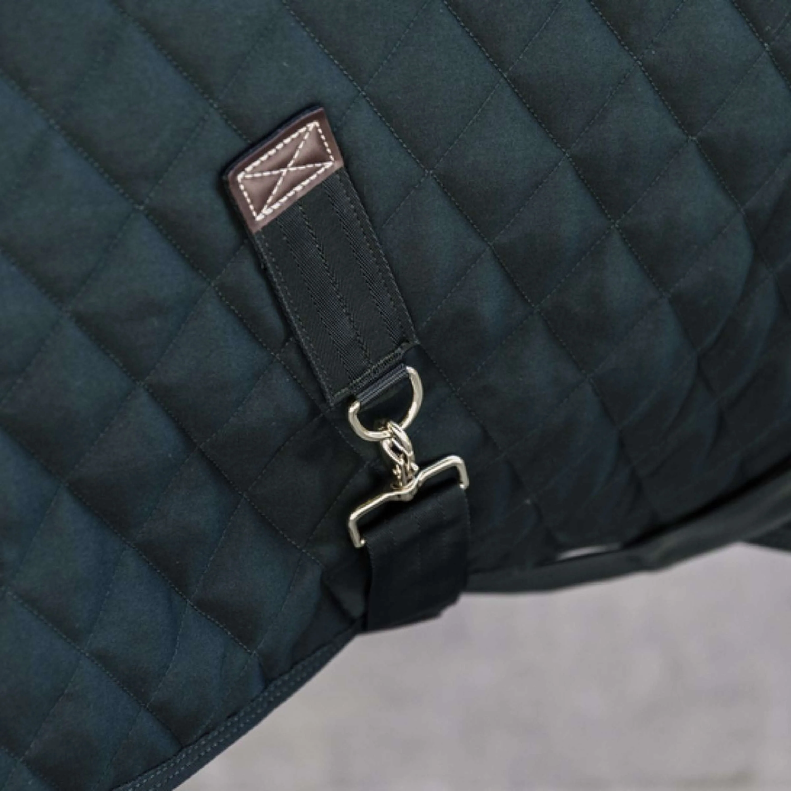 Kentucky Horsewear Coperta da esposizione Verde scuro - Image 3