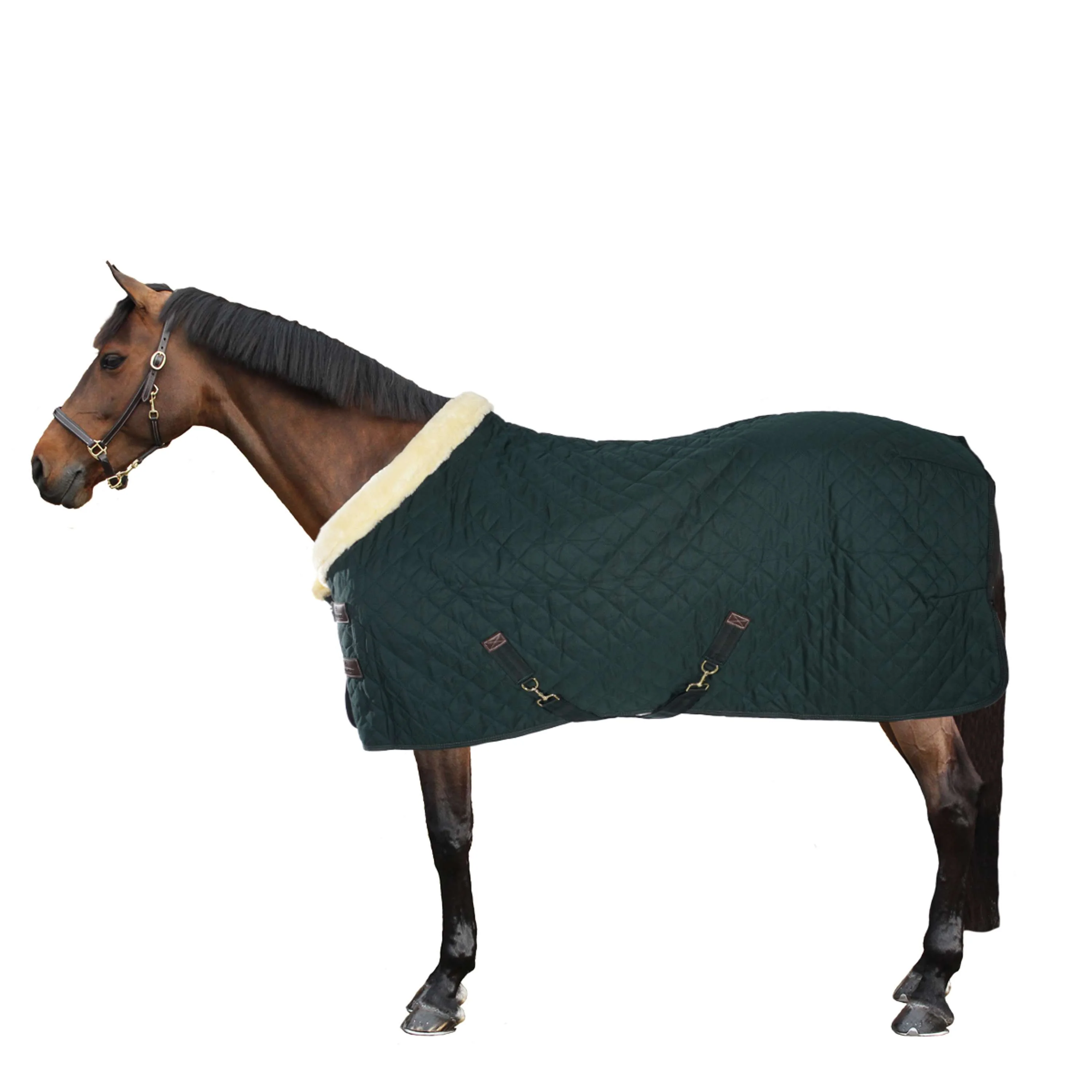 Kentucky Horsewear Coperta da esposizione Verde scuro - Image 5