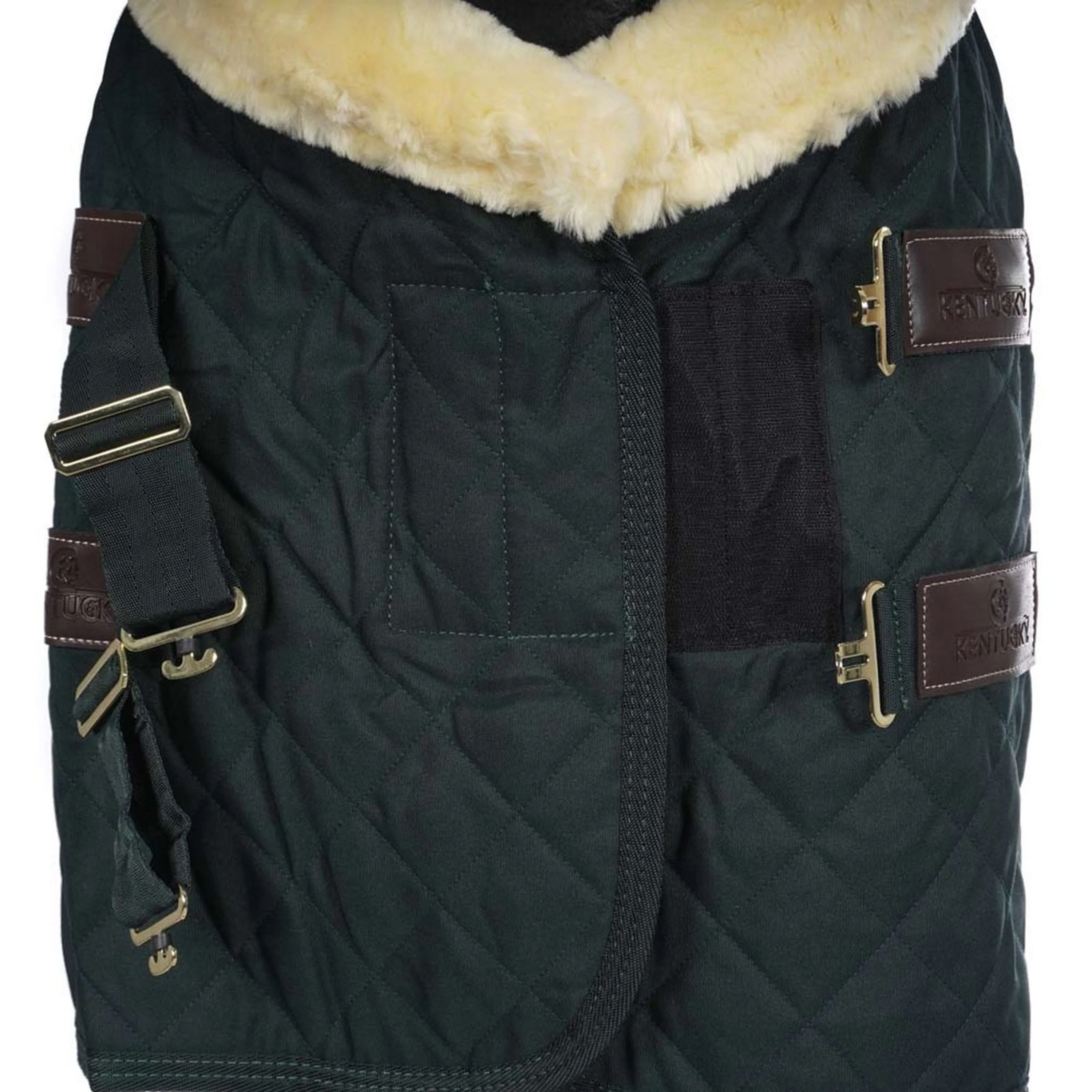 Kentucky Horsewear Coperta da esposizione Verde scuro - Image 7