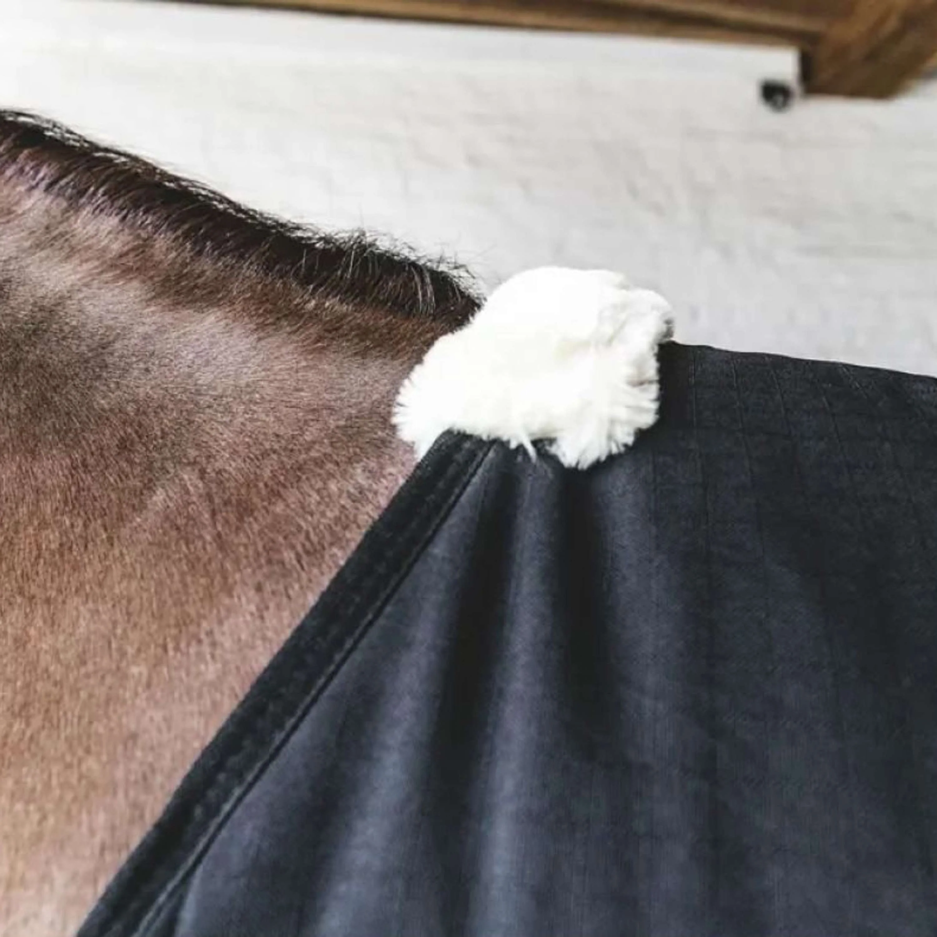 Kentucky Horsewear Coperta da scuderia Classic Nero - Image 3