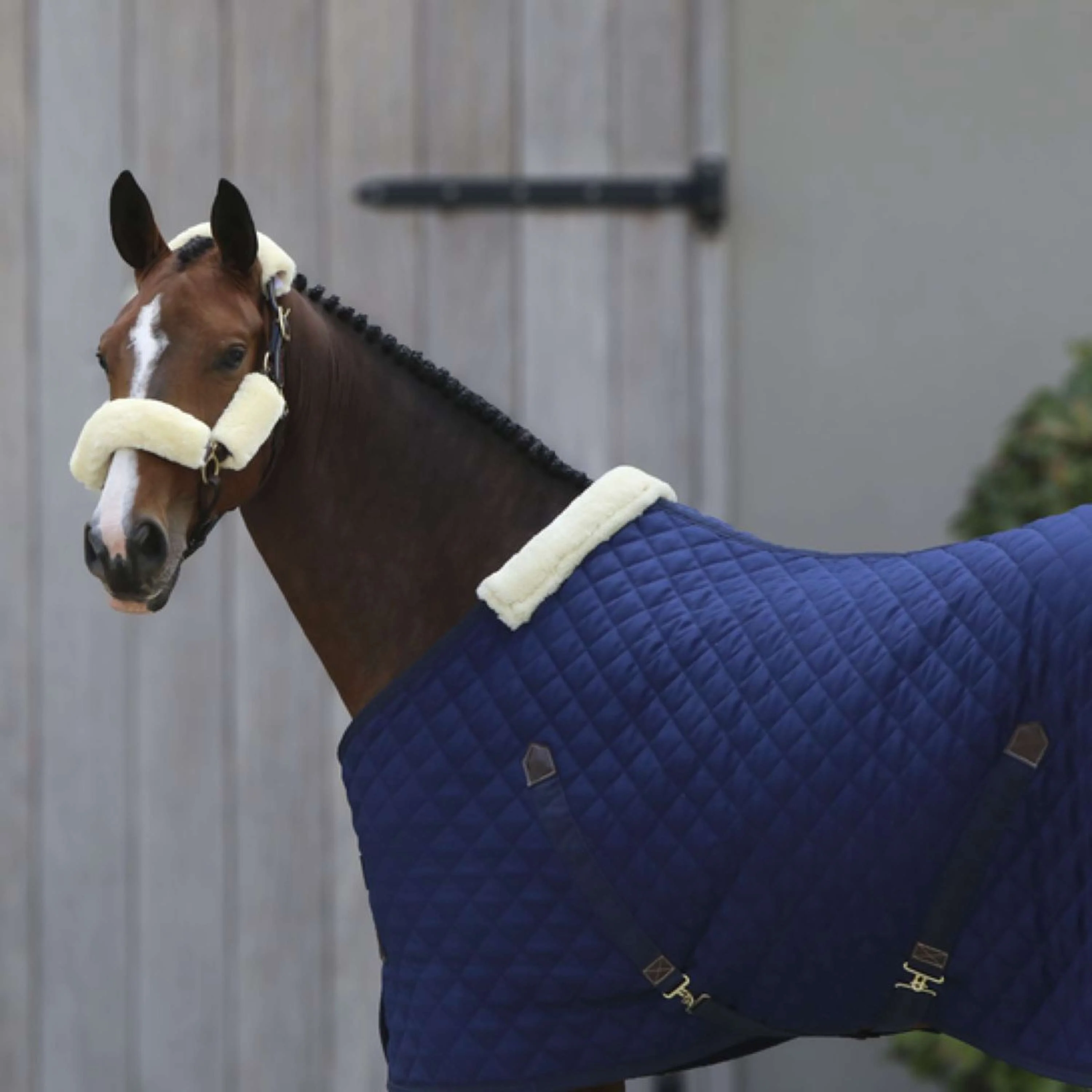 Kentucky Horsewear Coperta da scuderia 400g Navy - Image 2