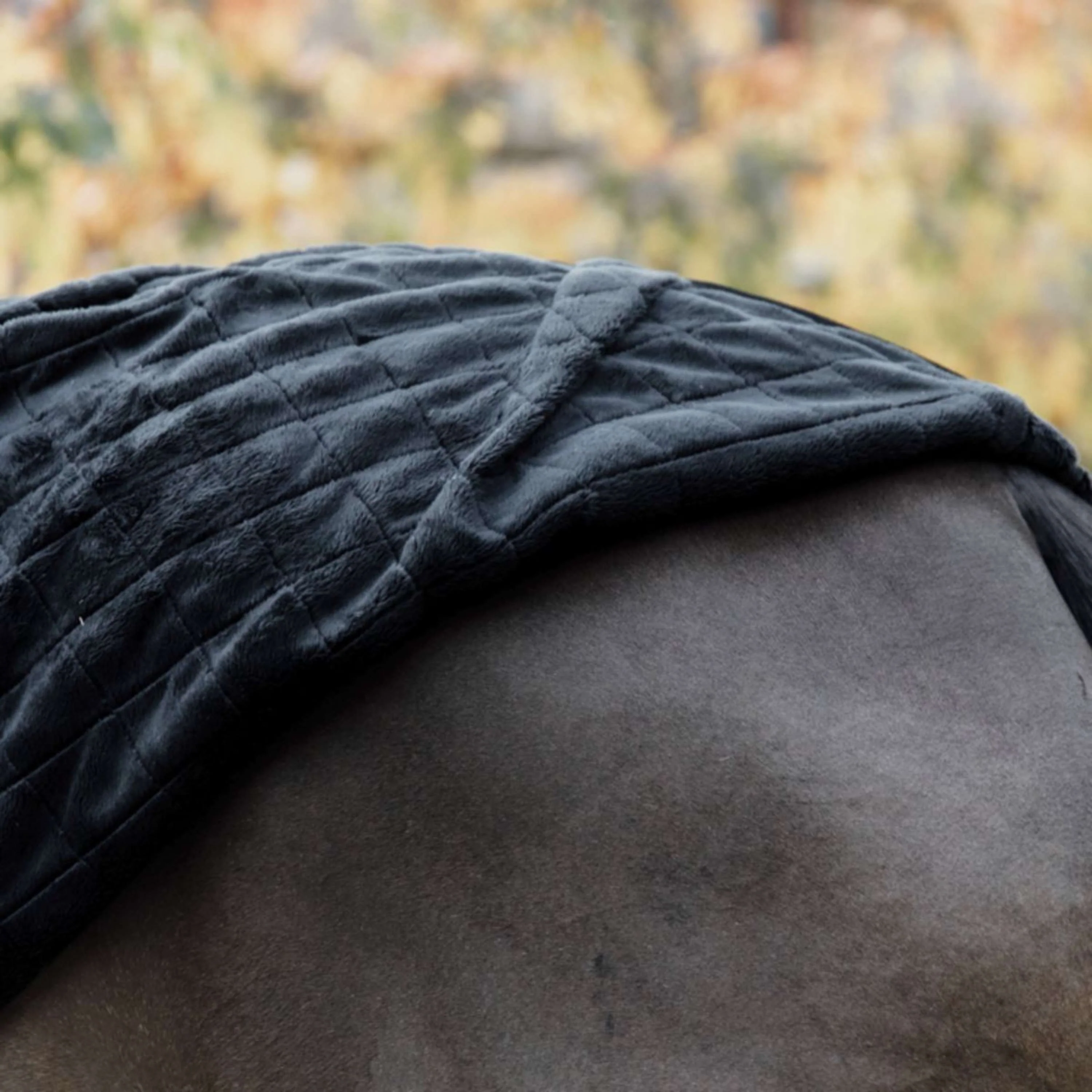 Kentucky Horsewear Coperta da scuderia Nero - Image 2