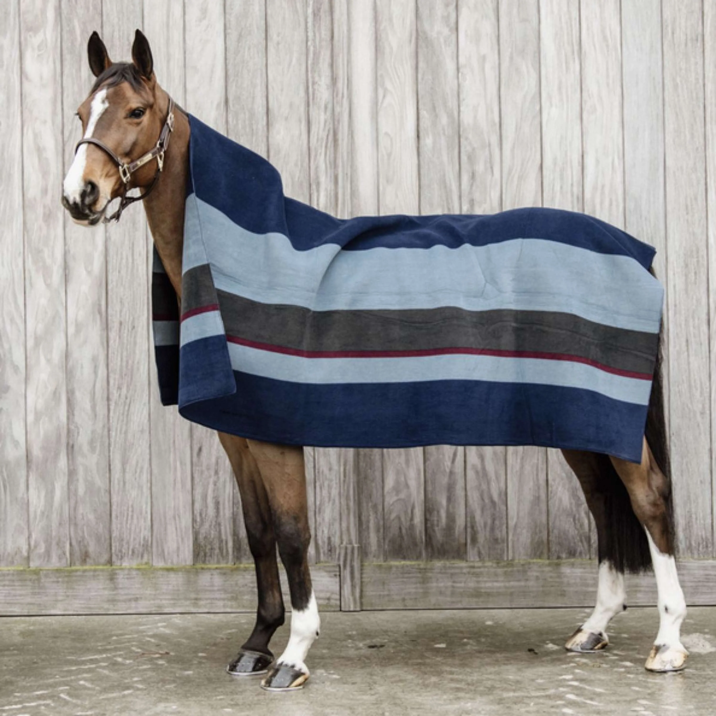 Kentucky Horsewear Coperta in Pile Heavy Square Stripes Punti blu scuro/grigi - Image 2