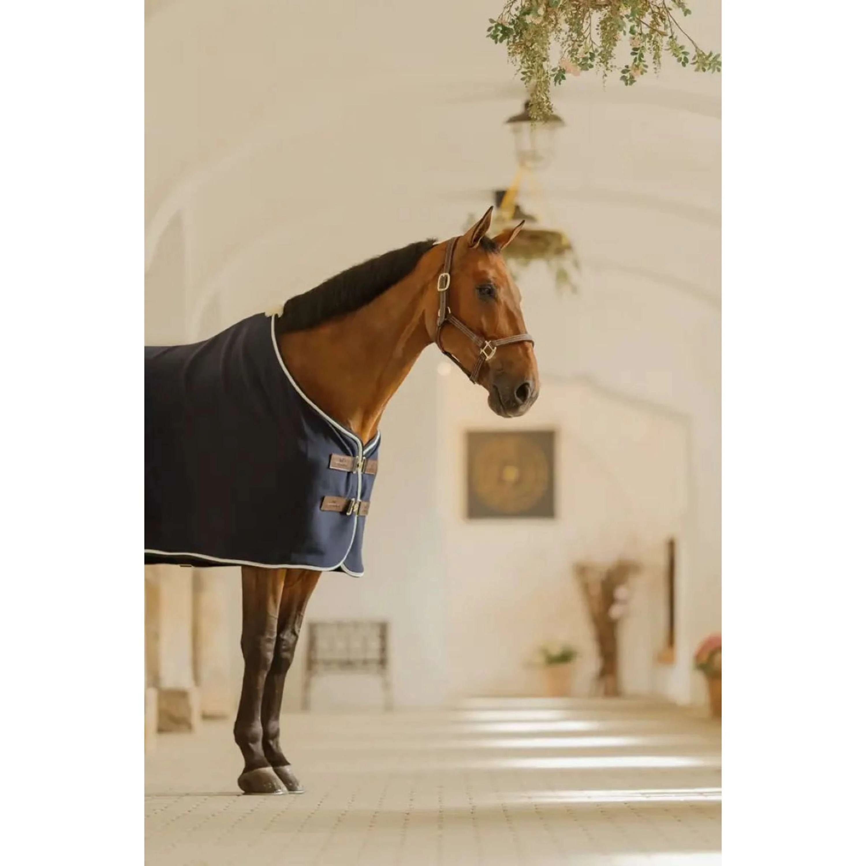 Kentucky Horsewear Coperta in pile Show Vegan Wool Navy - Image 3
