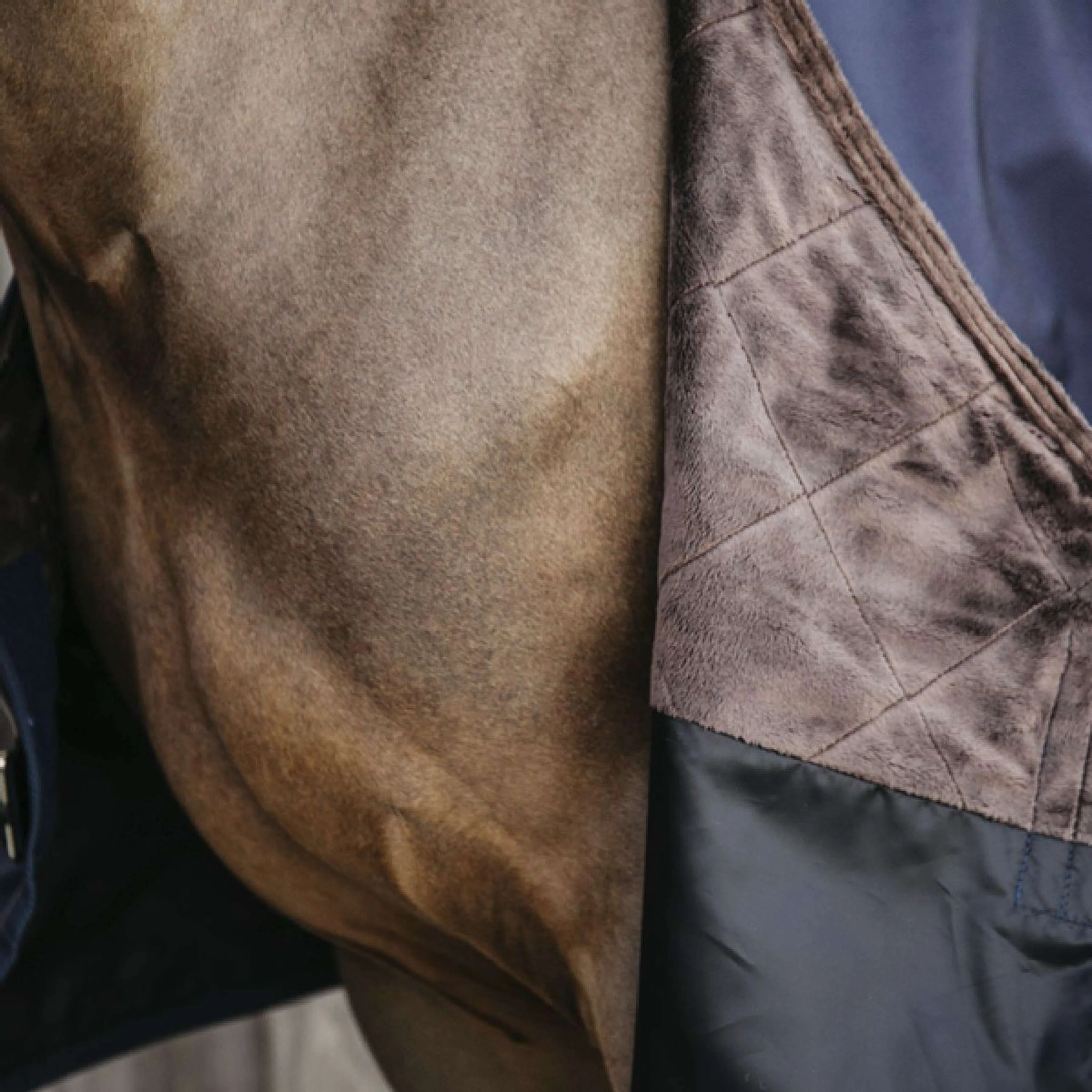Kentucky Horsewear Turnout All Weather 160g Navy - Image 3