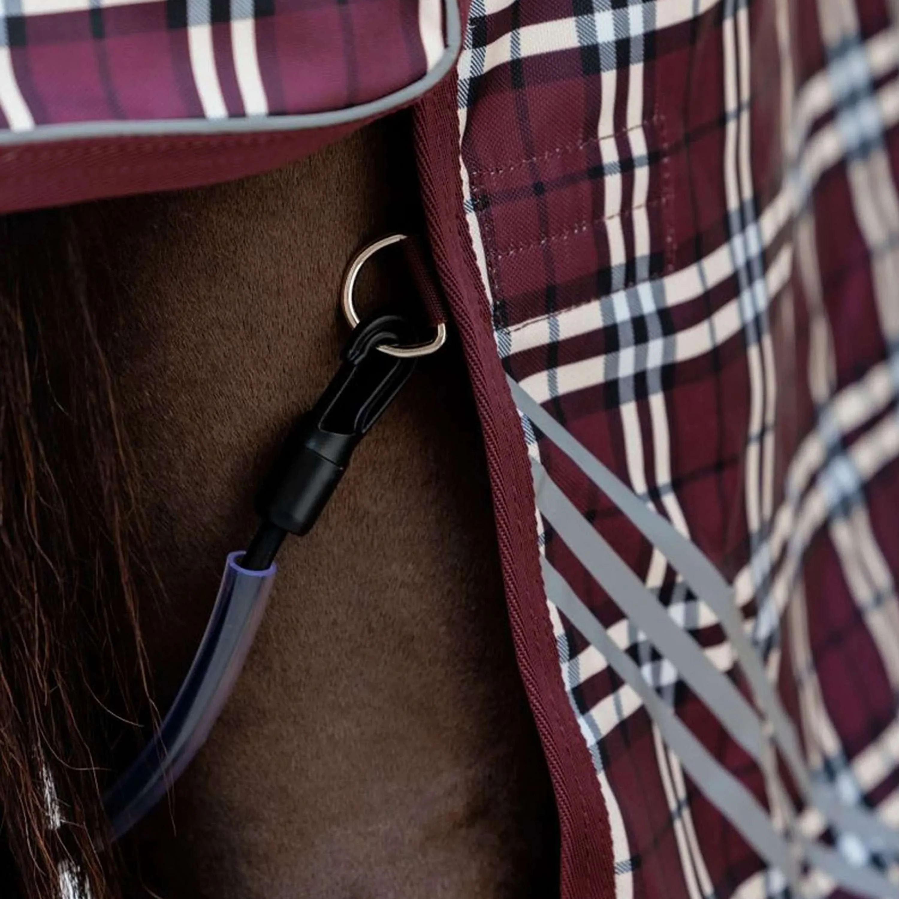 Kentucky Ritorno dell'affluenza alle urne All Weather Comfort Waterproof 0g Bordeaux - Image 6