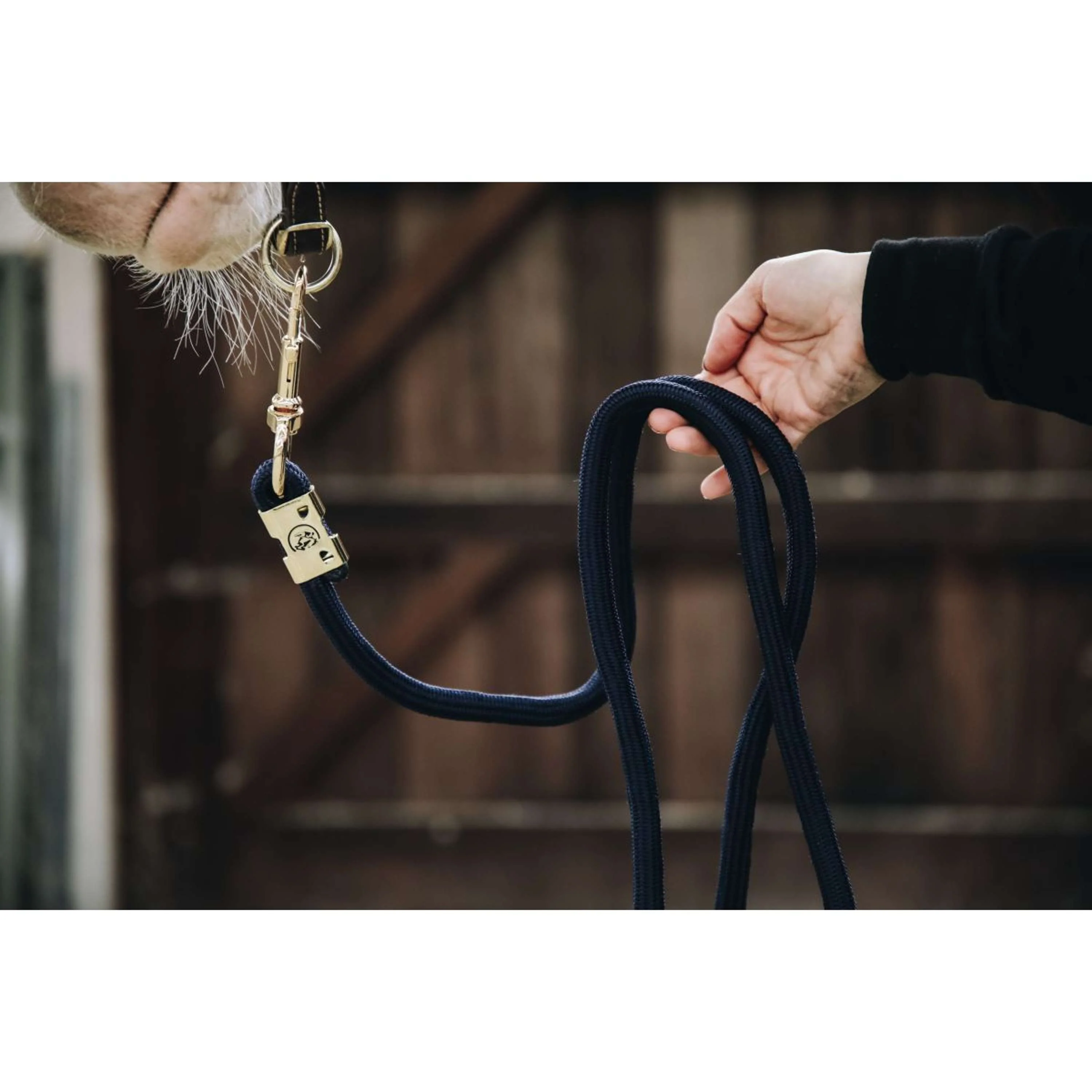 Kentucky Horsewear Corda per cavezza Basic Navy - Image 2
