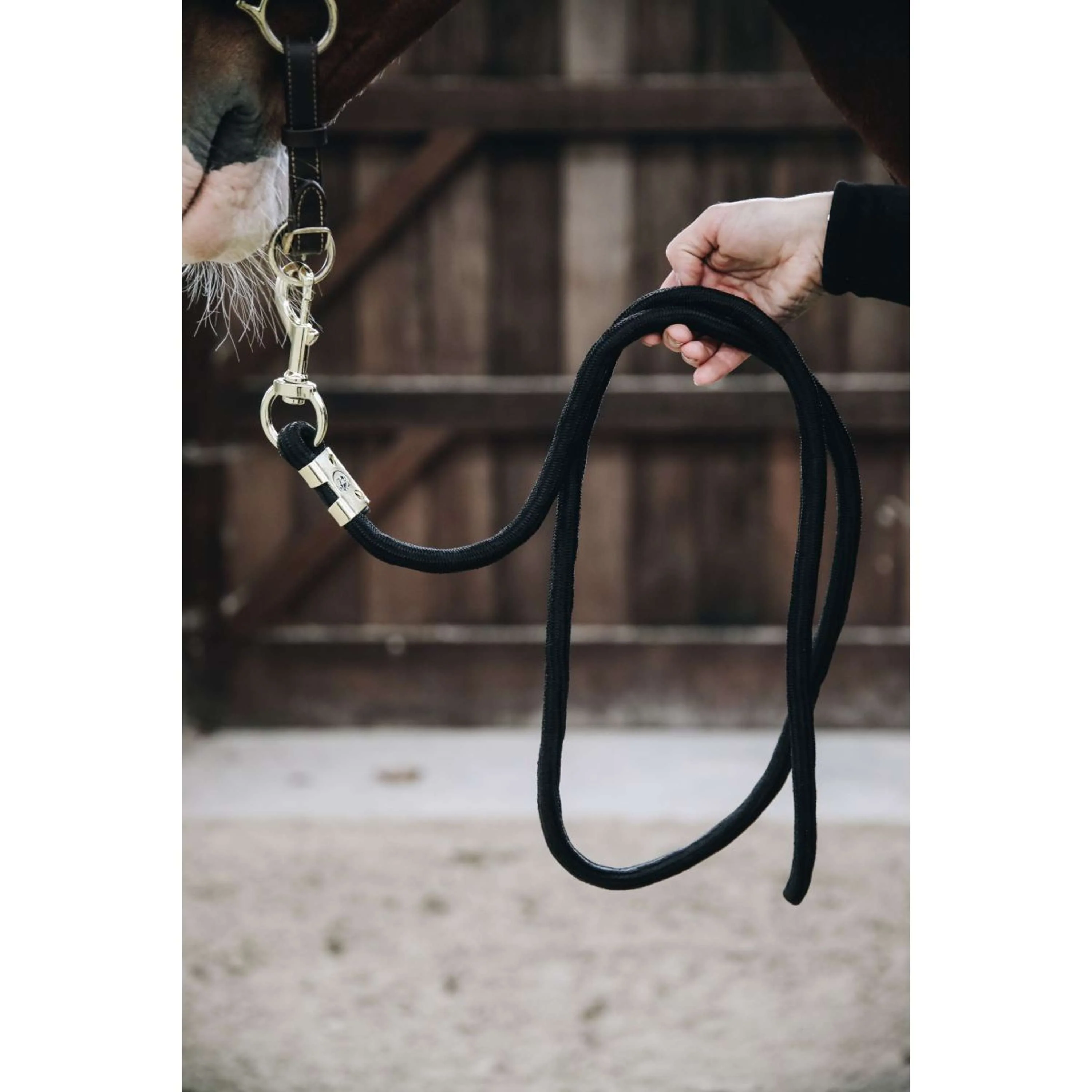 Kentucky Horsewear Corda per cavezza Basic Nero - Image 3
