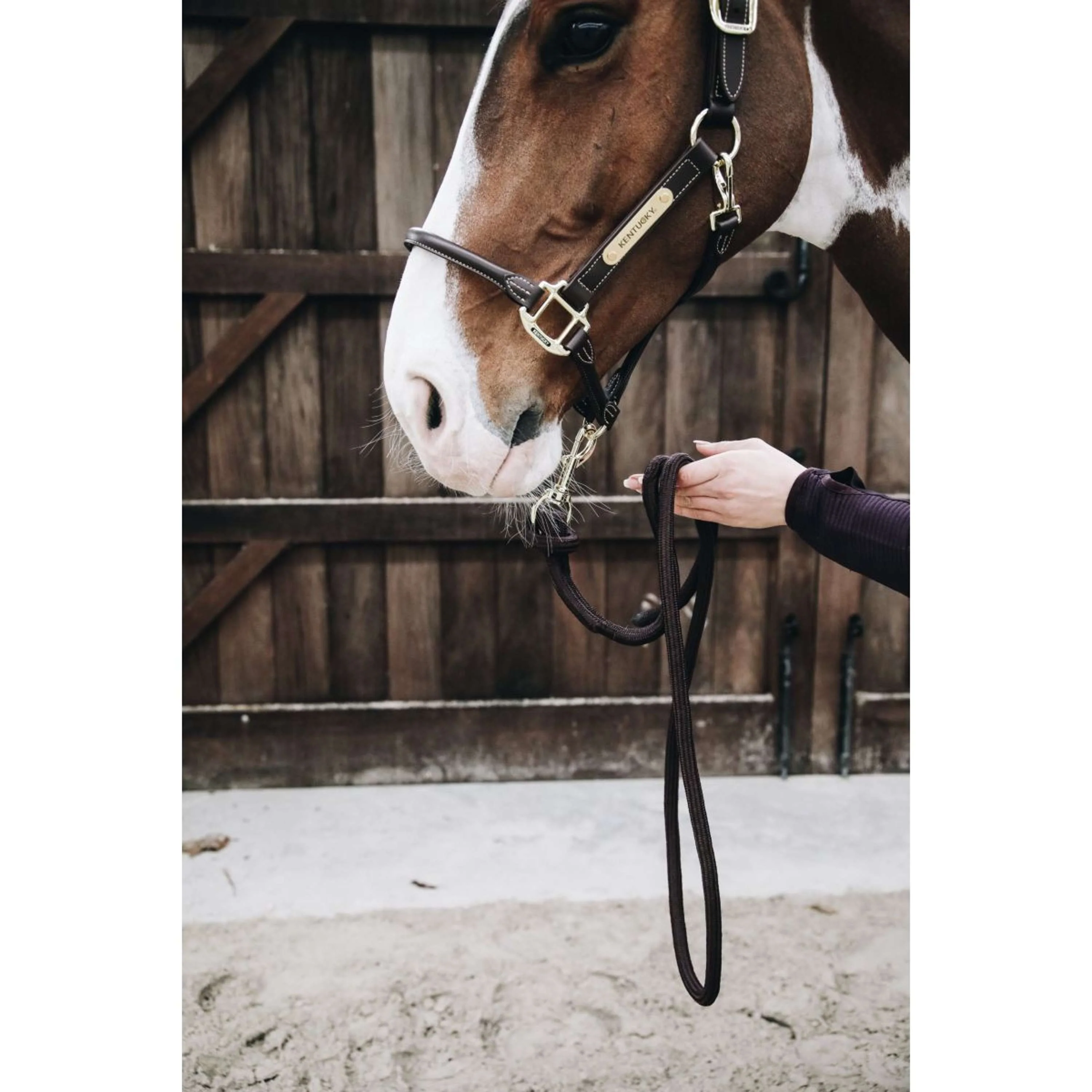 Kentucky Horsewear Corda per cavezza Loop Marrone - Image 5