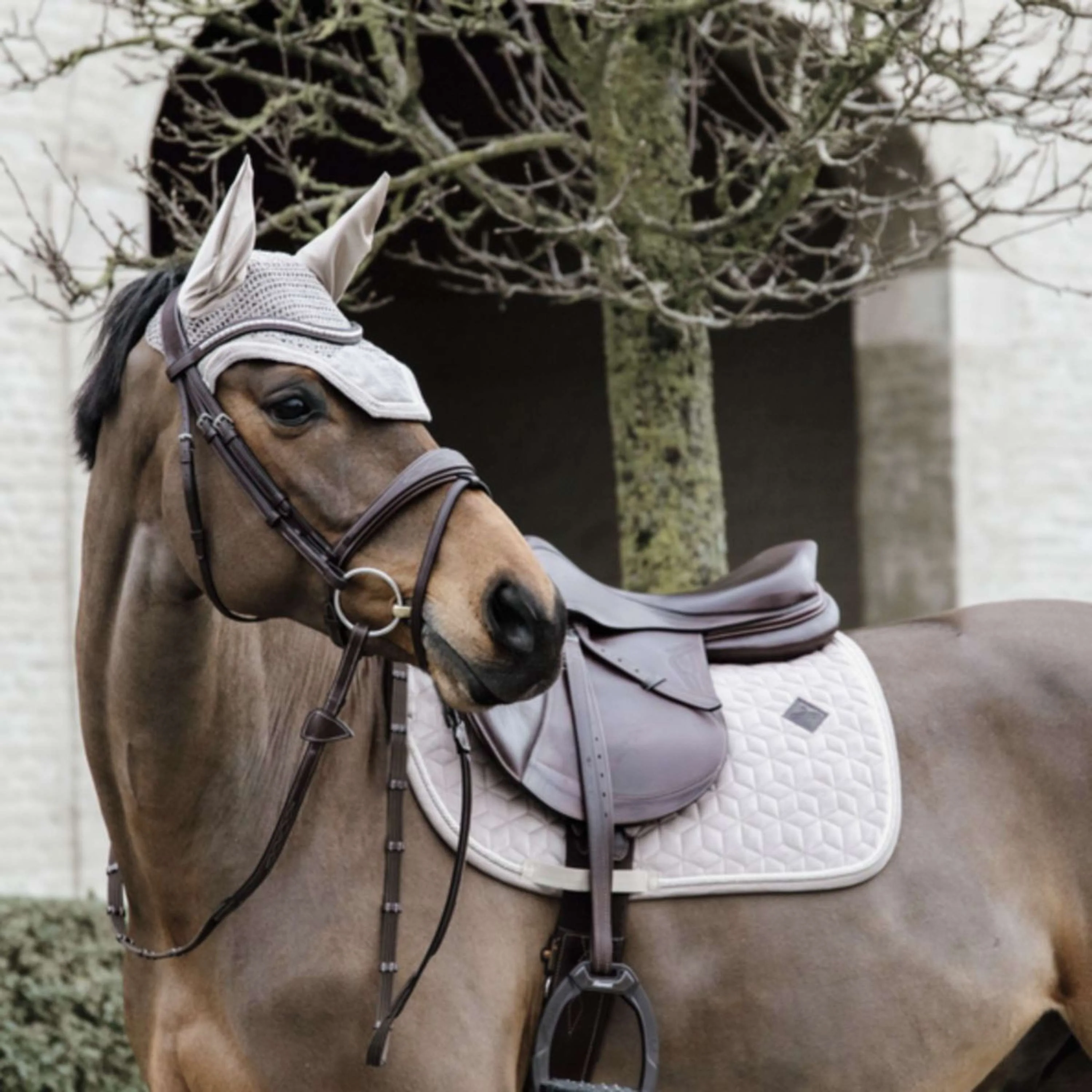 Kentucky Horsewear Cuffietta Wellington Basic Velvet Beige - Image 4
