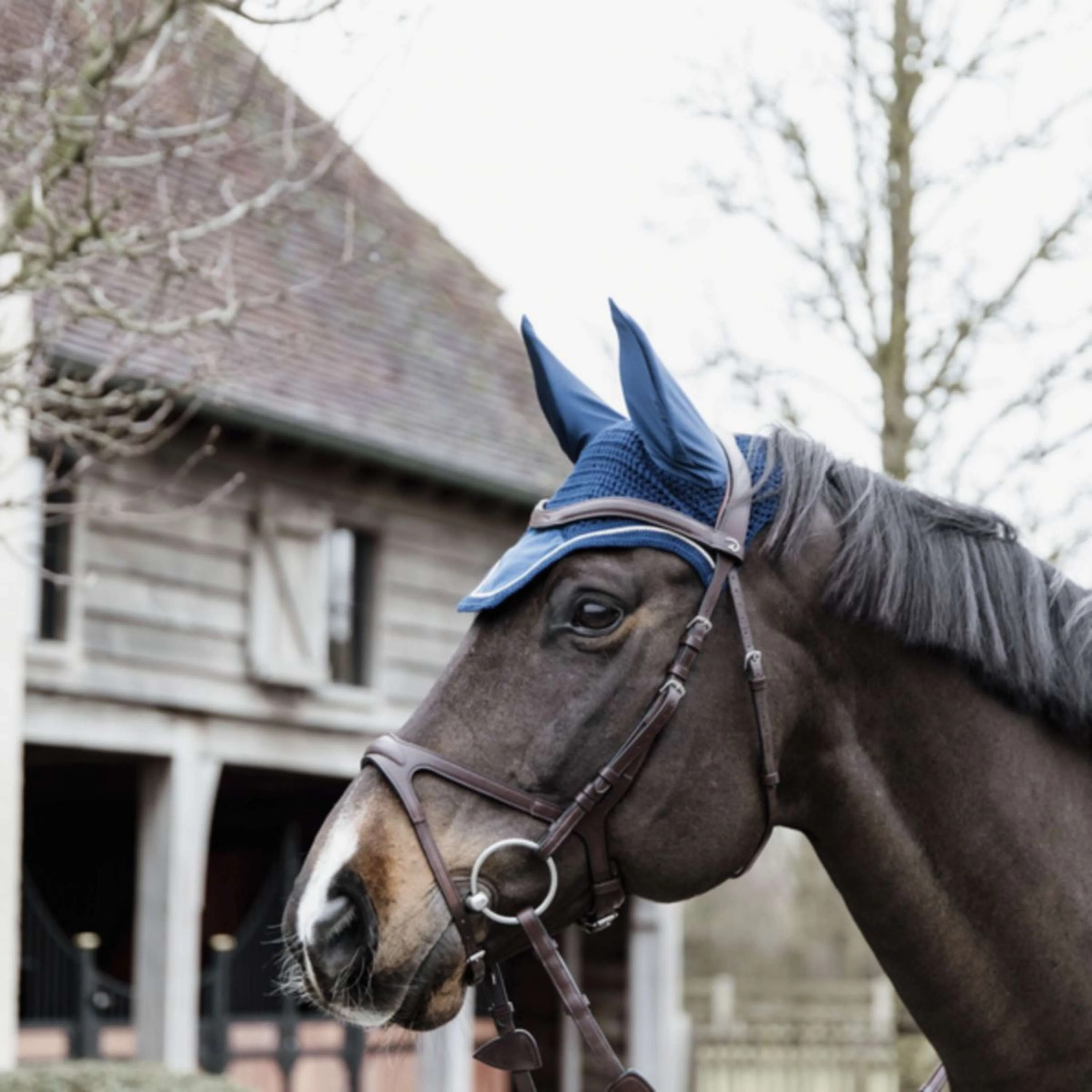 Kentucky Horsewear Cuffietta Wellington Basic Velvet Navy - Image 2
