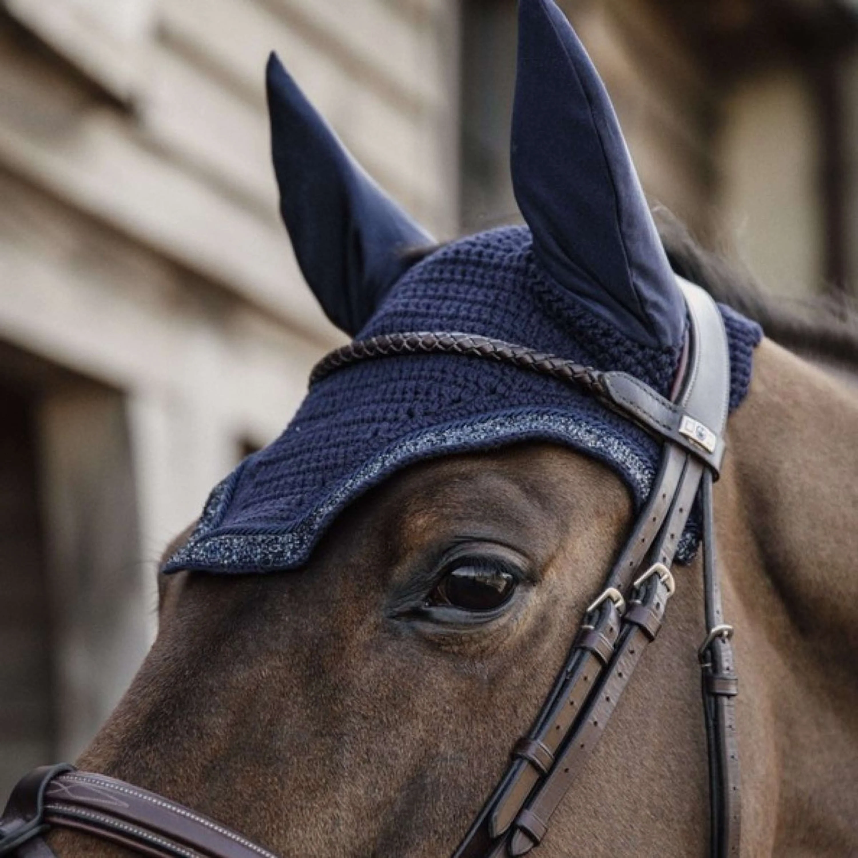 Kentucky Horsewear Cuffietta Wellington Blu scuro - Image 2