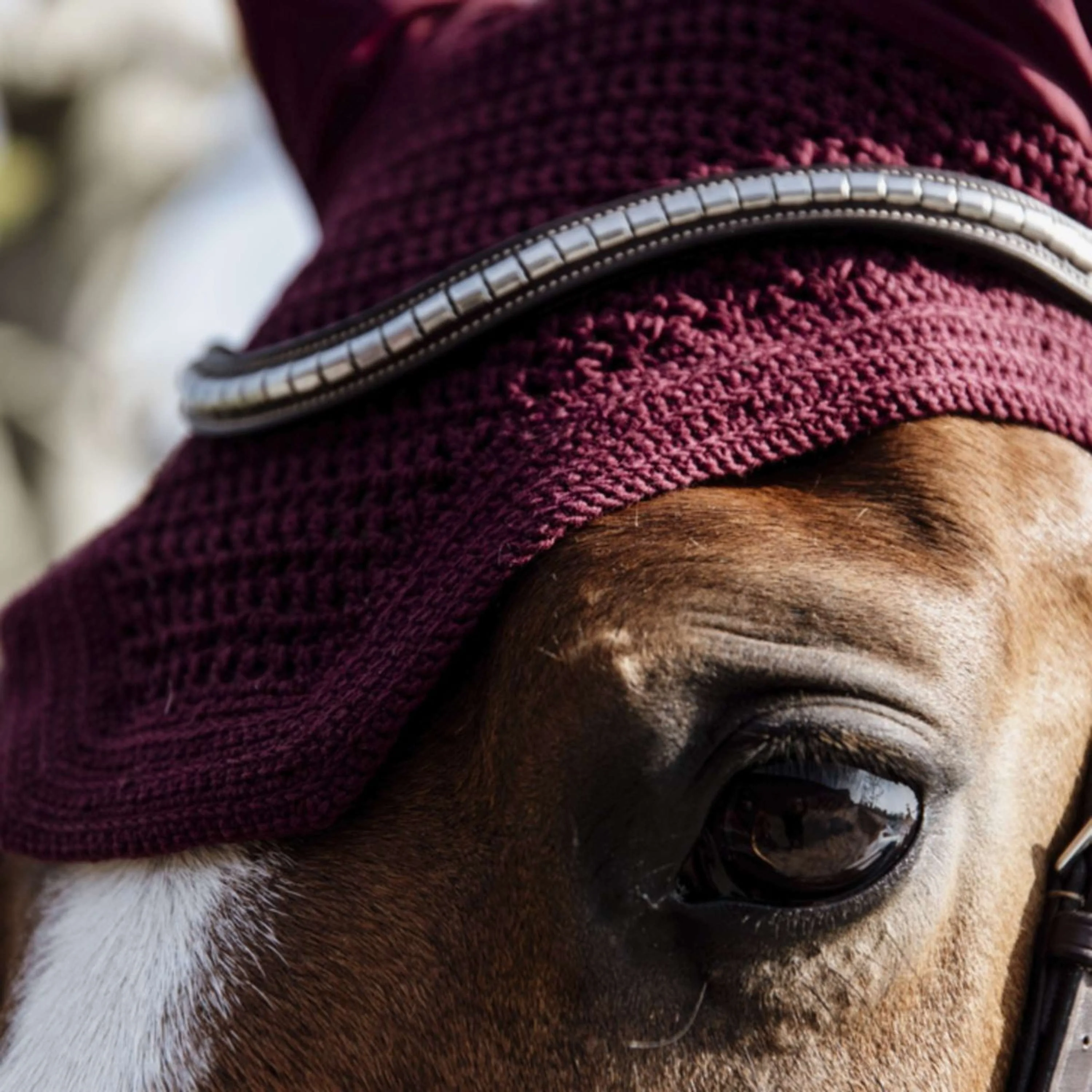 Kentucky Horsewear Cuffietta Wellington Bordeaux - Image 3