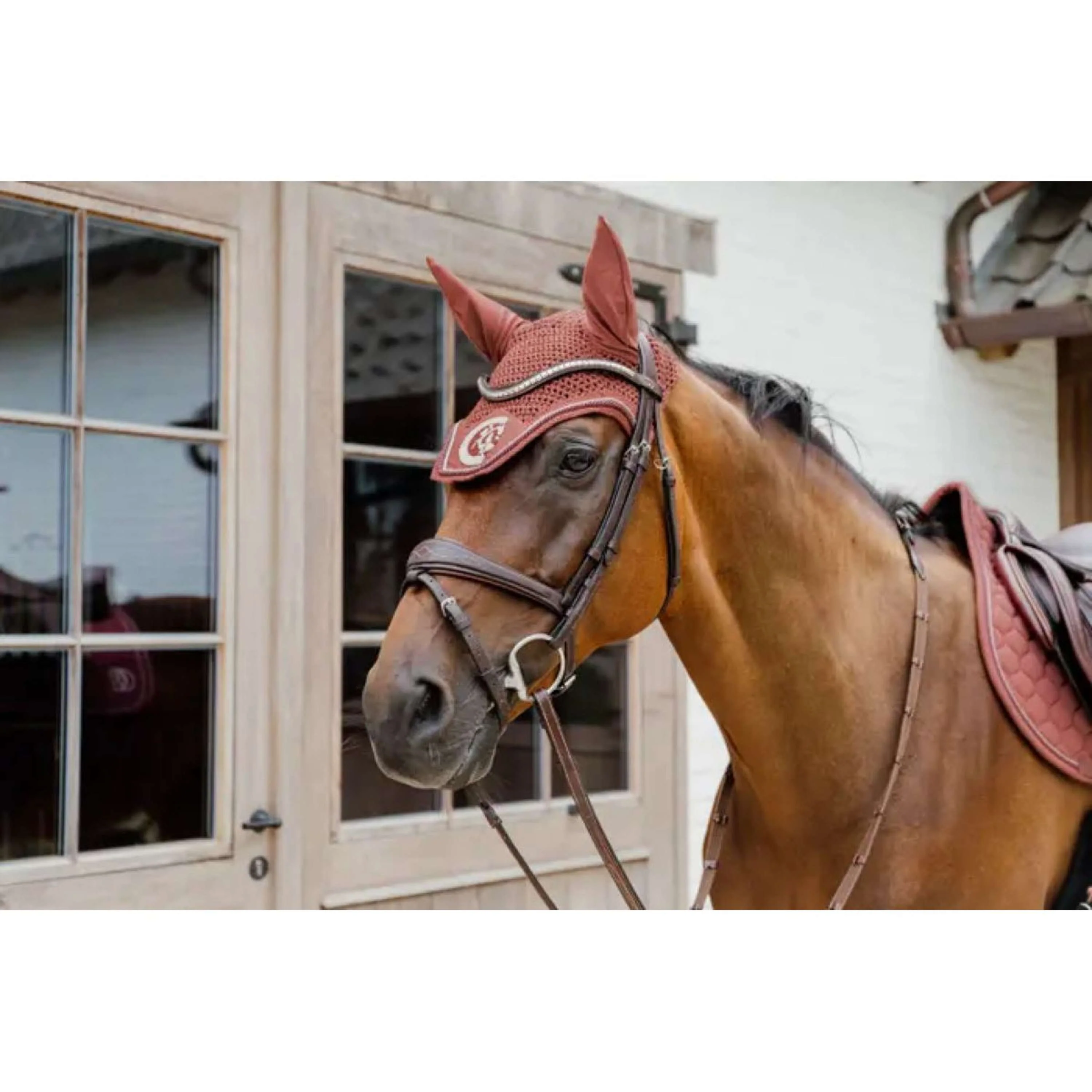 Kentucky Horsewear Cuffietta Wellington 3D Logo Fucsia
