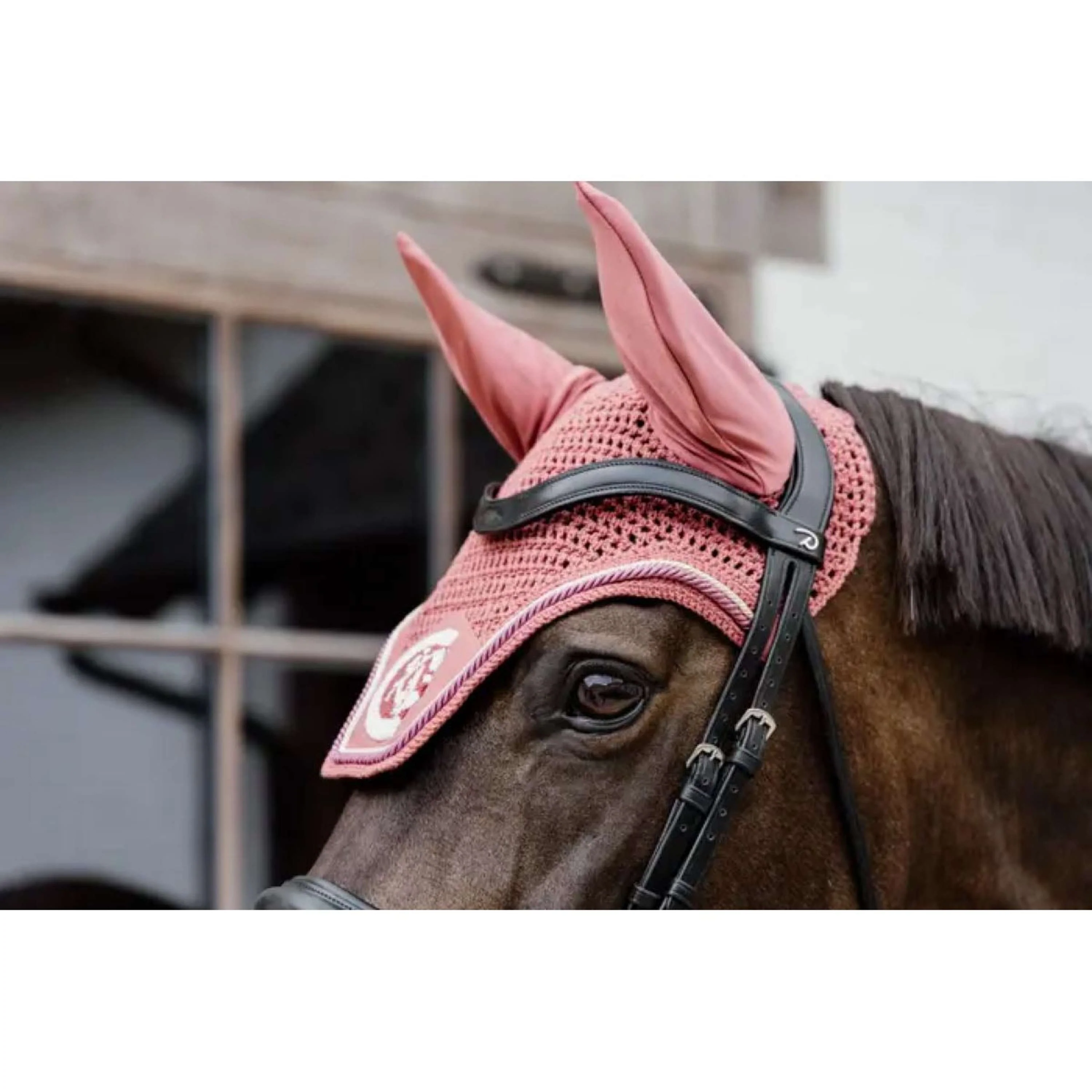 Kentucky Horsewear Cuffietta Wellington 3D Logo Fucsia - Image 3