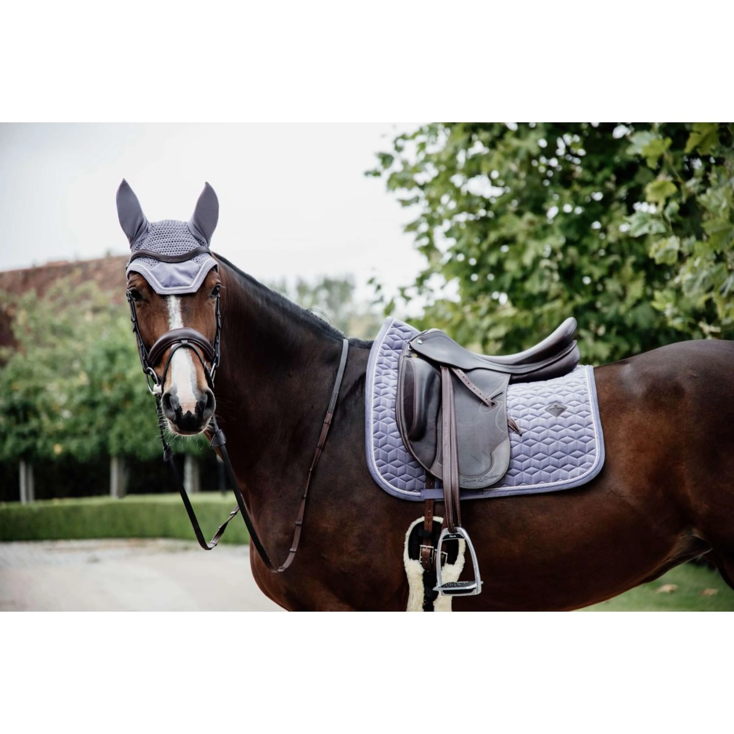 Kentucky Horsewear Cuffietta Wellington Velvet Viola - Image 3