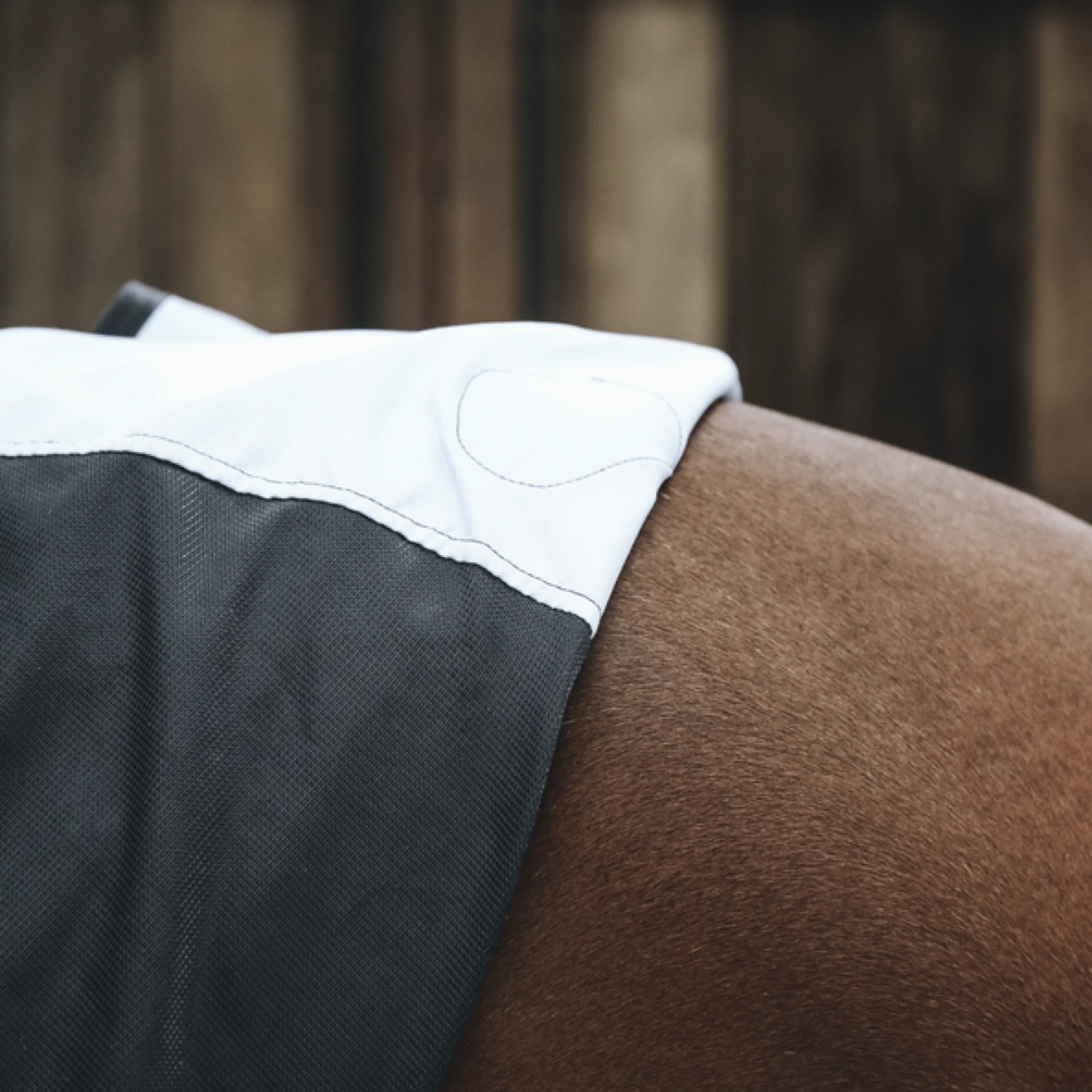 Kentucky Horsewear Dorso magnetico Recuptex - Image 3