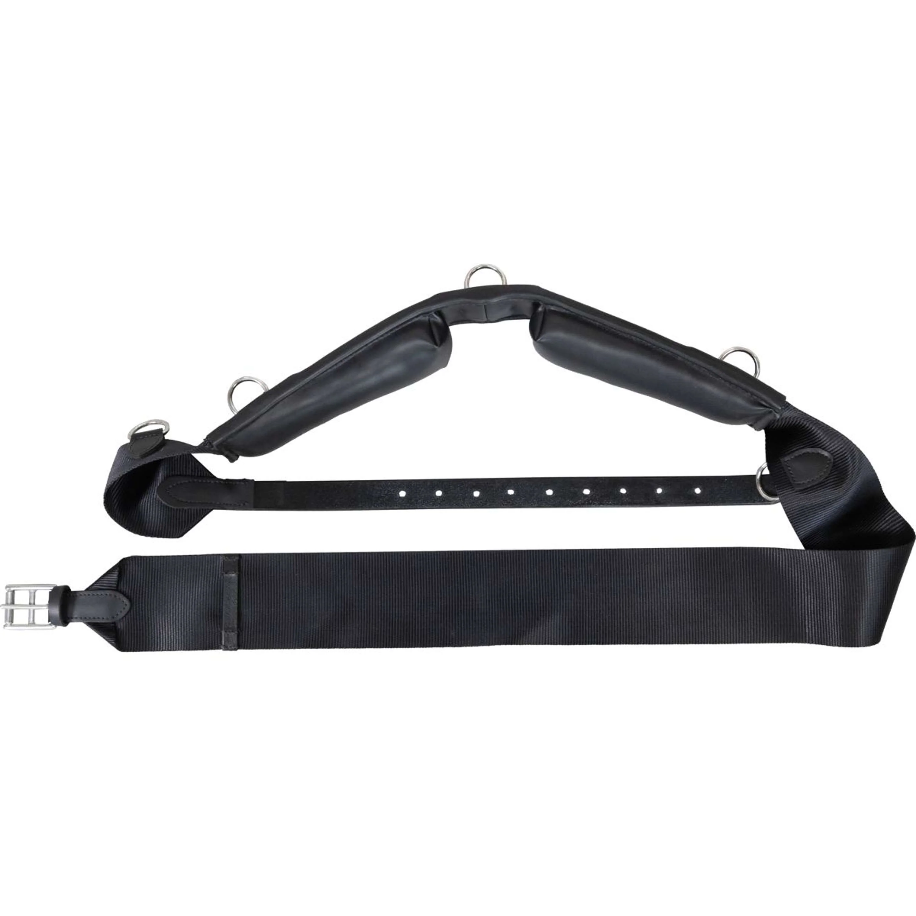 Kentucky Horsewear Fascia da Addestramento Nylon Nero