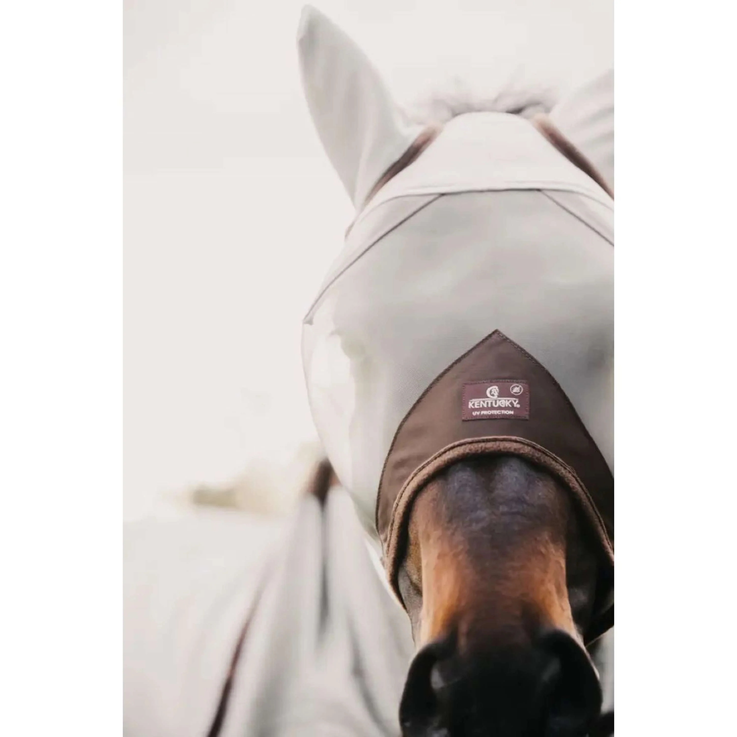 Kentucky Horsewear Maschera per Mosche Classic Argento - Image 2