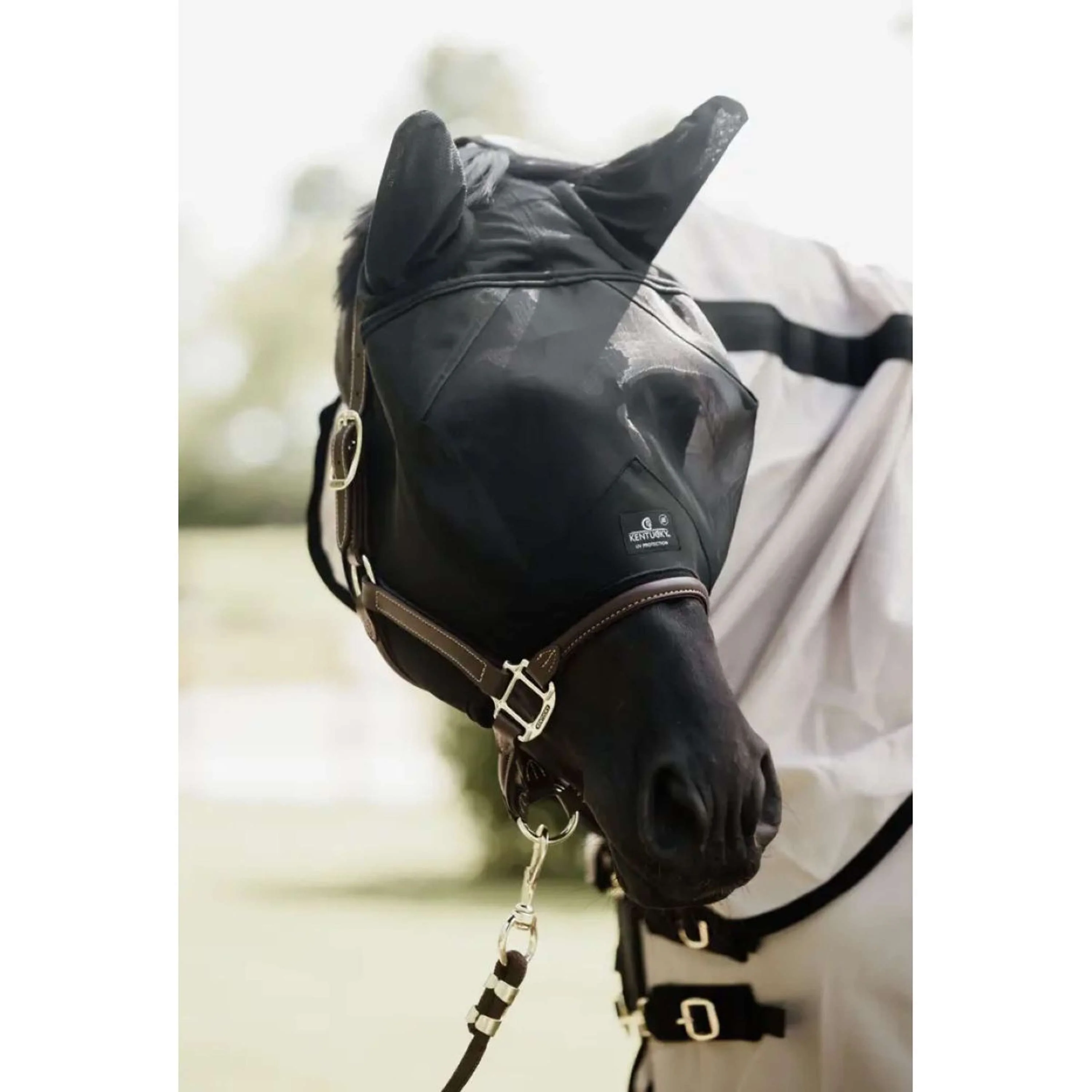 Kentucky Horsewear Maschera per Mosche Classic Nero - Image 2
