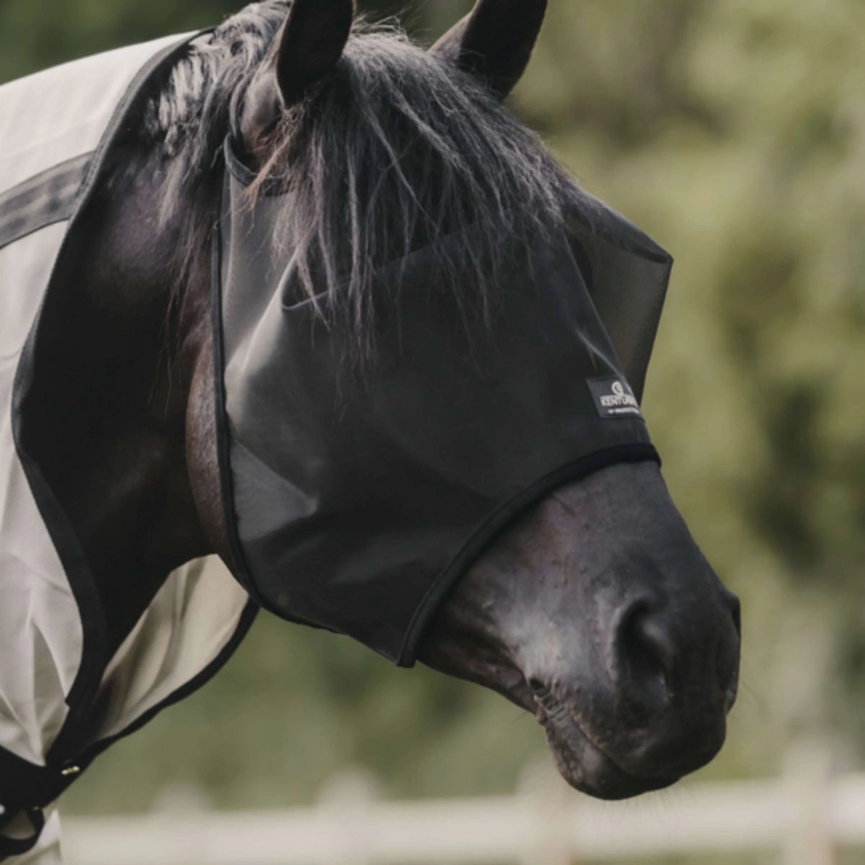 Kentucky Horsewear Maschera per Mosche Classic Nero - Image 2
