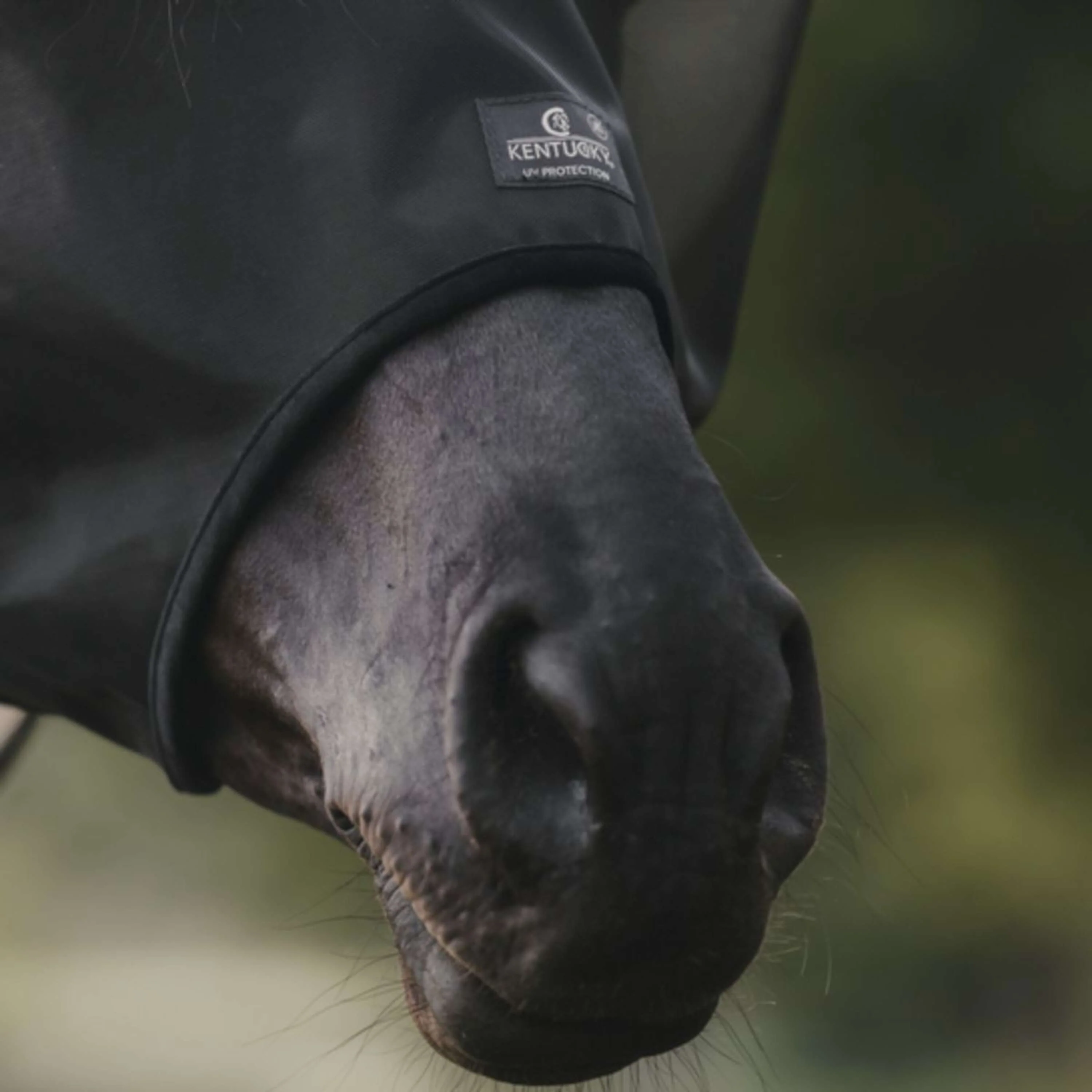 Kentucky Horsewear Maschera per Mosche Classic Nero - Image 3