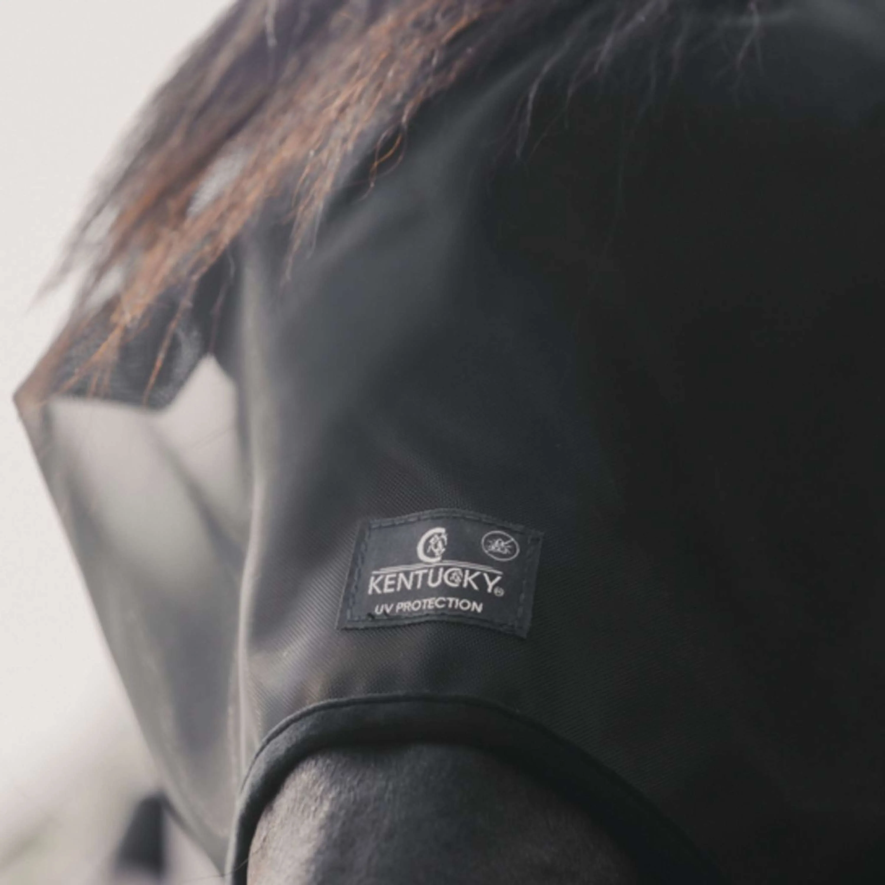Kentucky Horsewear Maschera per Mosche Classic Nero - Image 4