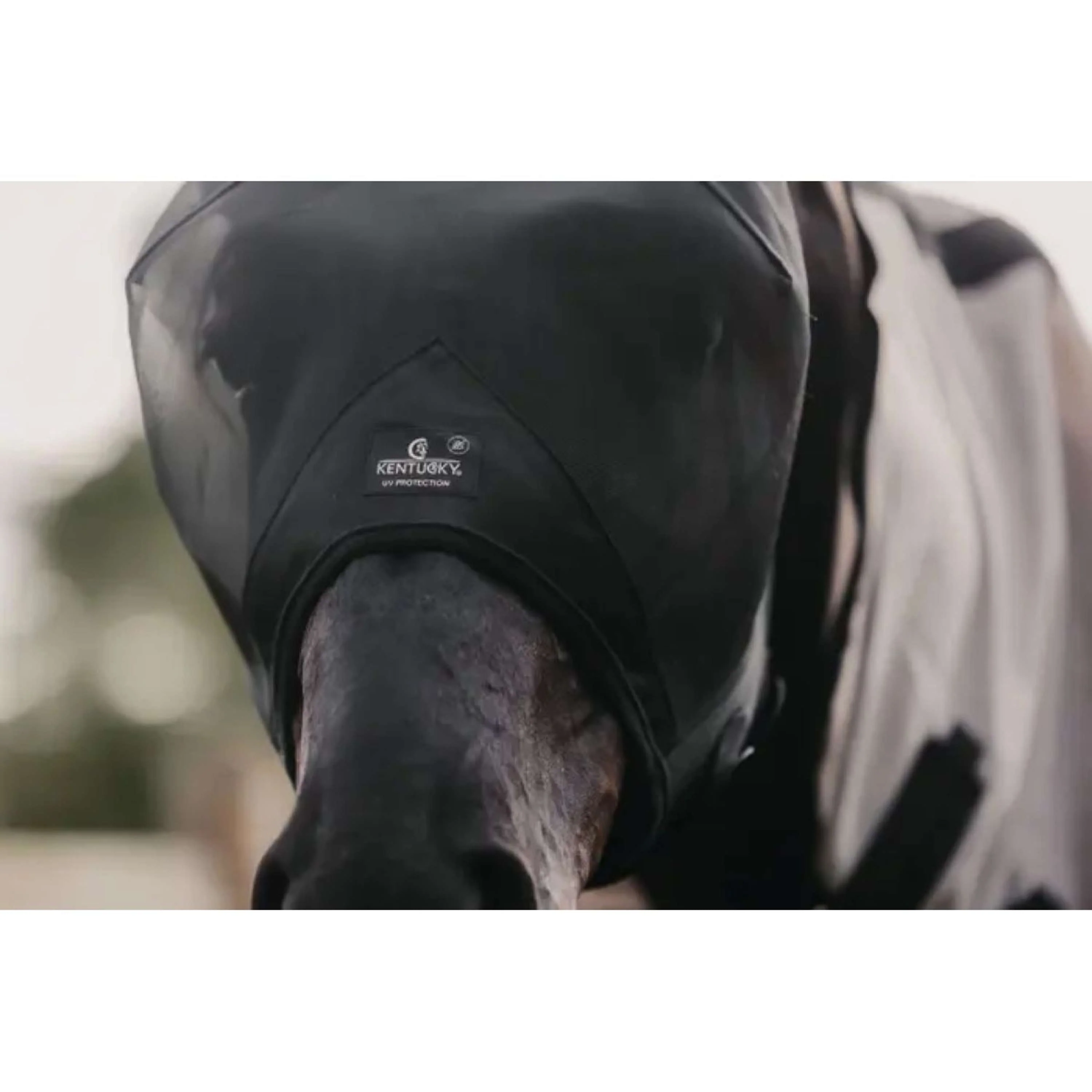 Kentucky Horsewear Maschera per Mosche Classic Nero - Image 3