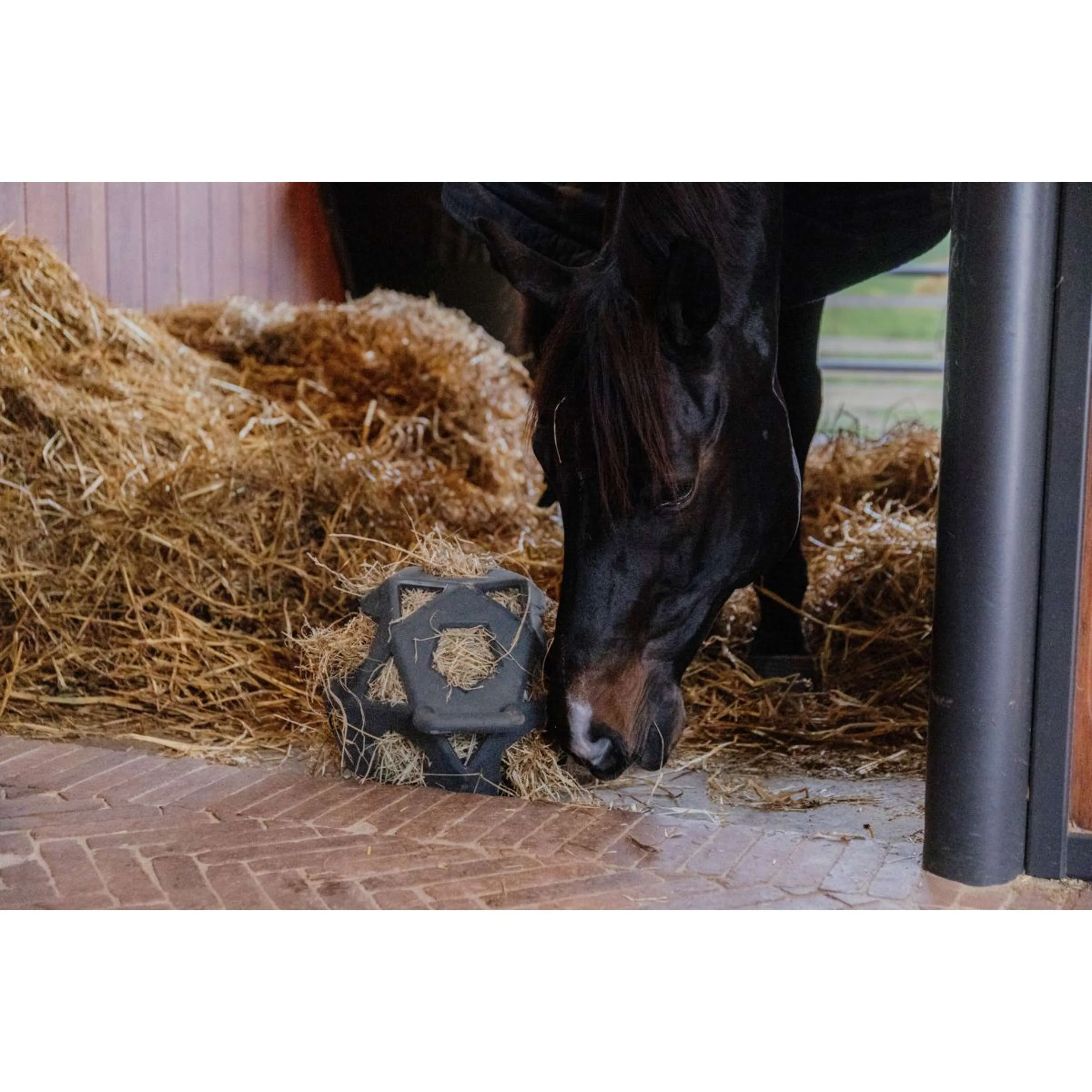 Kentucky Horsewear Pallone da Gioco Play & Hay Grigio - Image 3