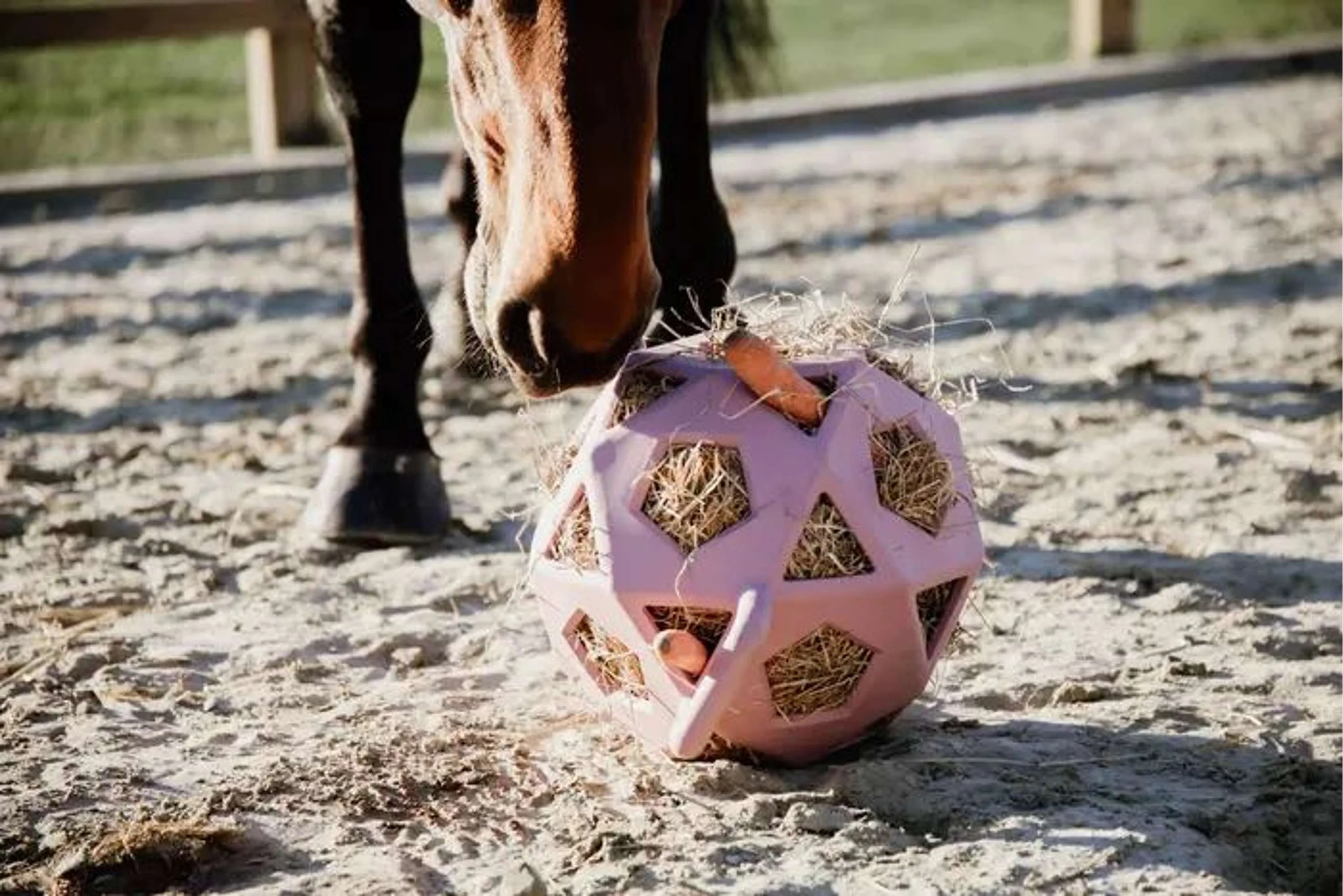 Kentucky Horsewear Pallone da Gioco Play & Hay Rosa antico - Image 2
