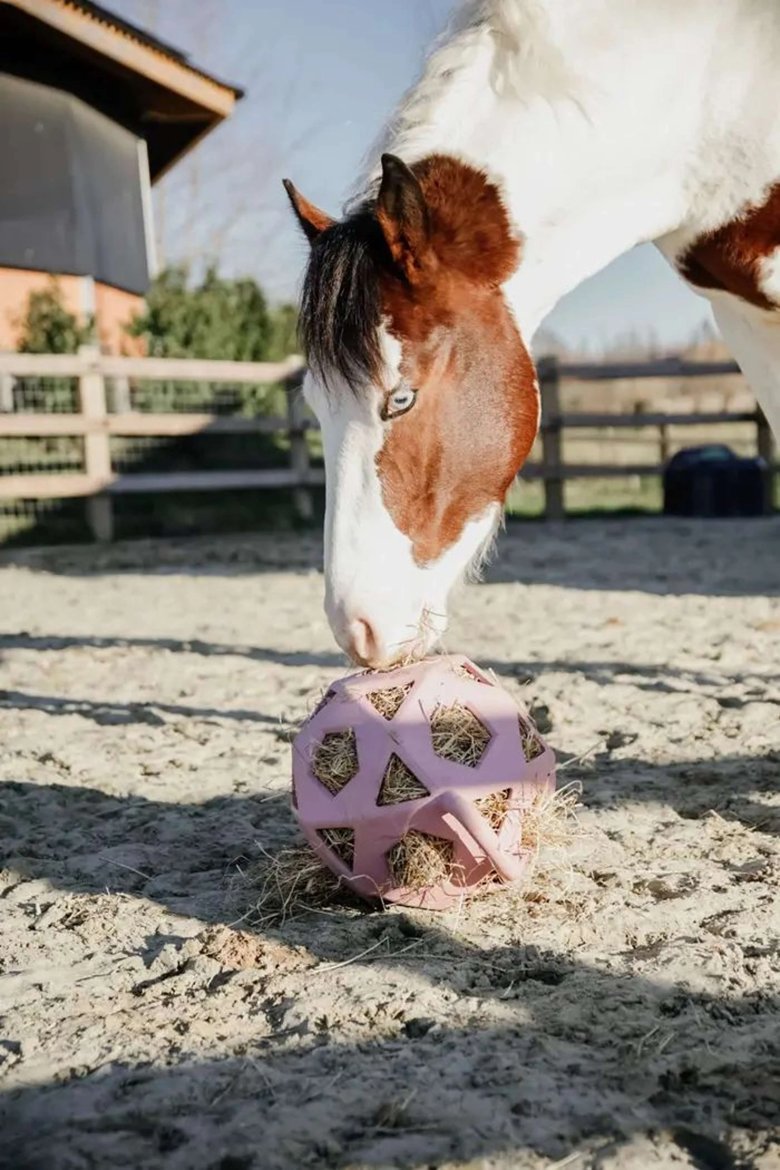 Kentucky Horsewear Pallone da Gioco Play & Hay Rosa antico - Image 4