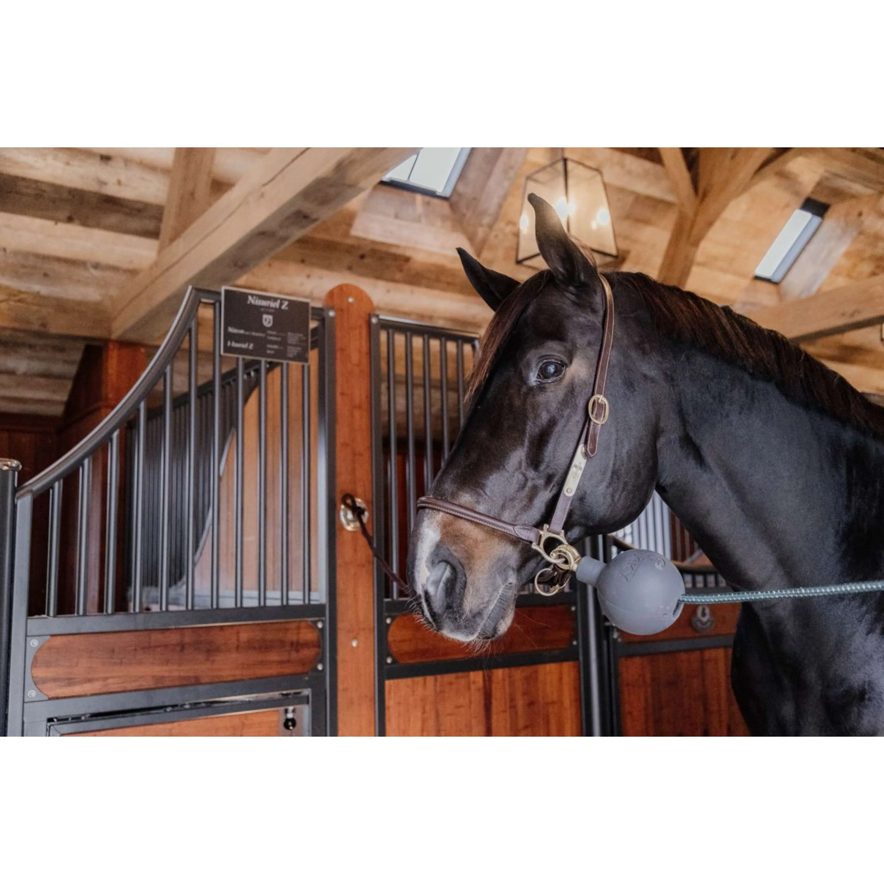 Kentucky Horsewear Pallone da Gioco Rubber Grigio - Image 3