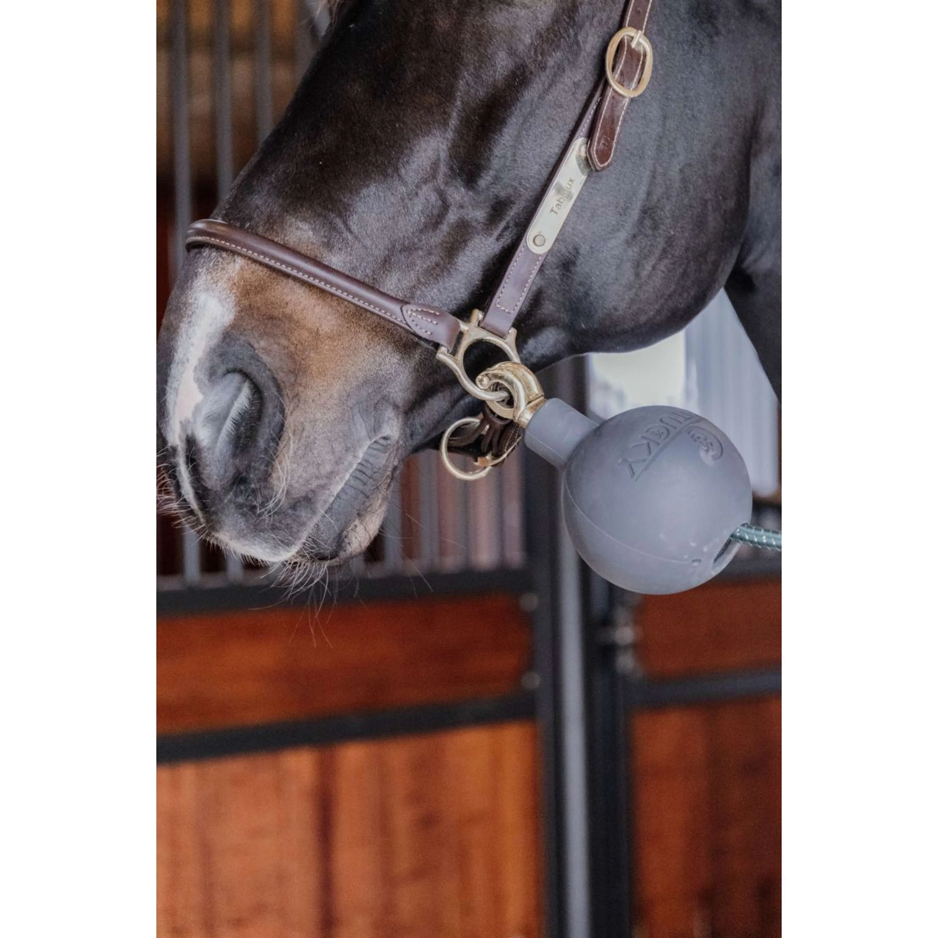 Kentucky Horsewear Pallone da Gioco Rubber Grigio - Image 4