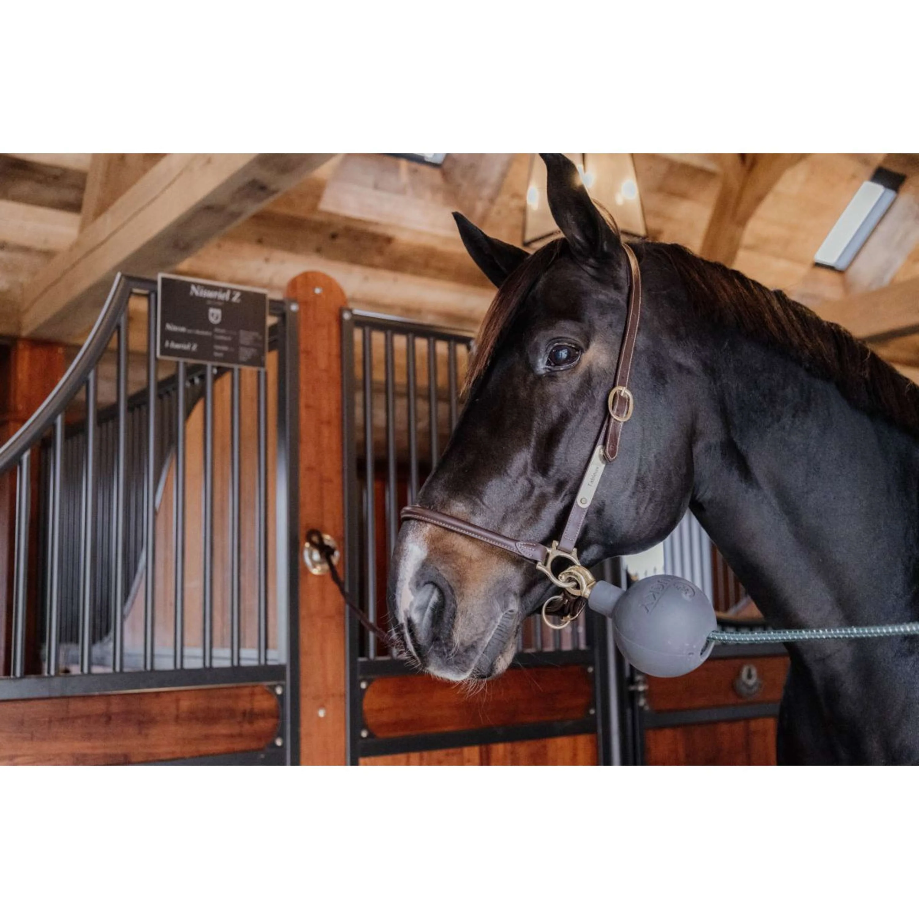 Kentucky Horsewear Pallone da Gioco Rubber Grigio - Image 6