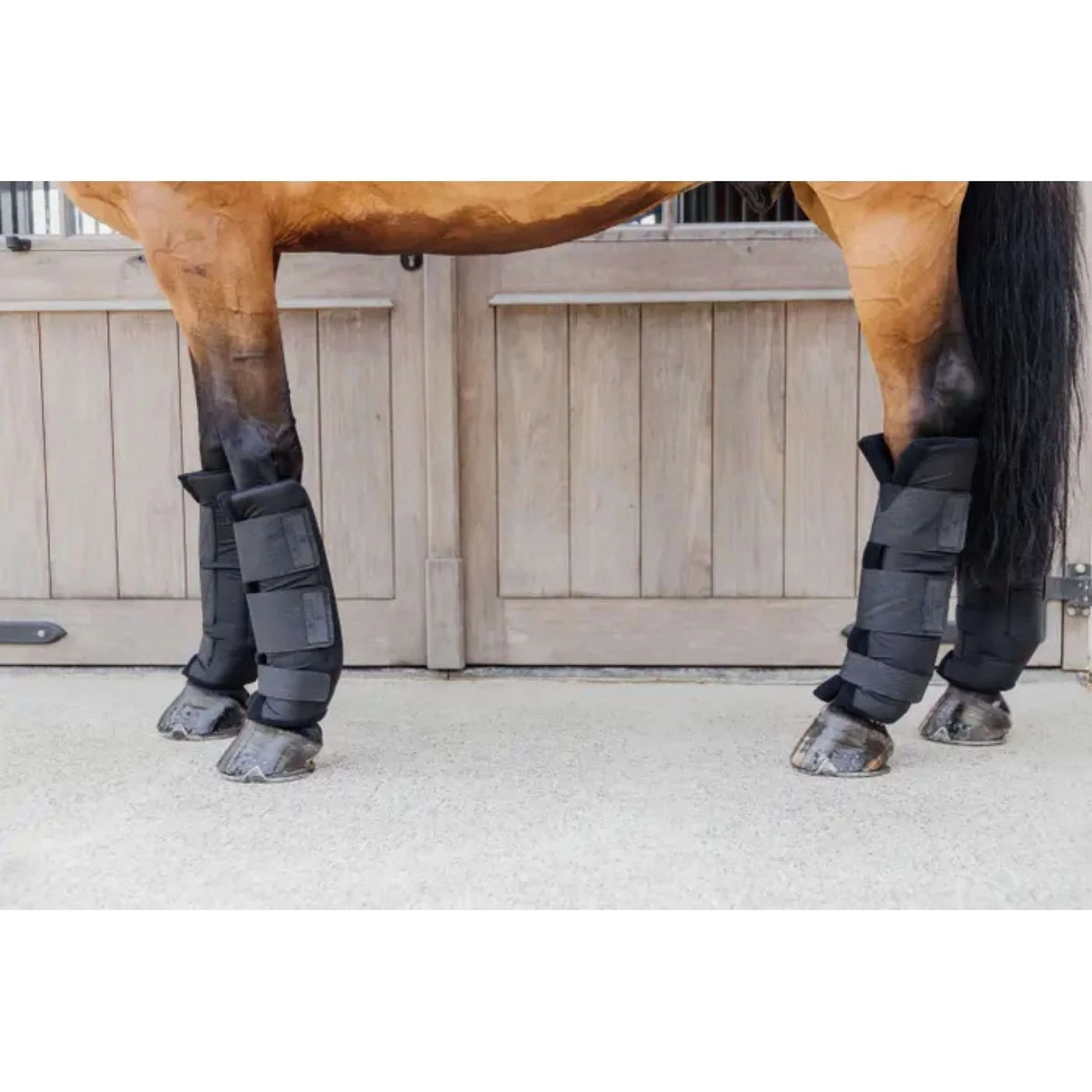 Kentucky Horsewear Protettori da stalla PROtect Classic Nero - Image 5