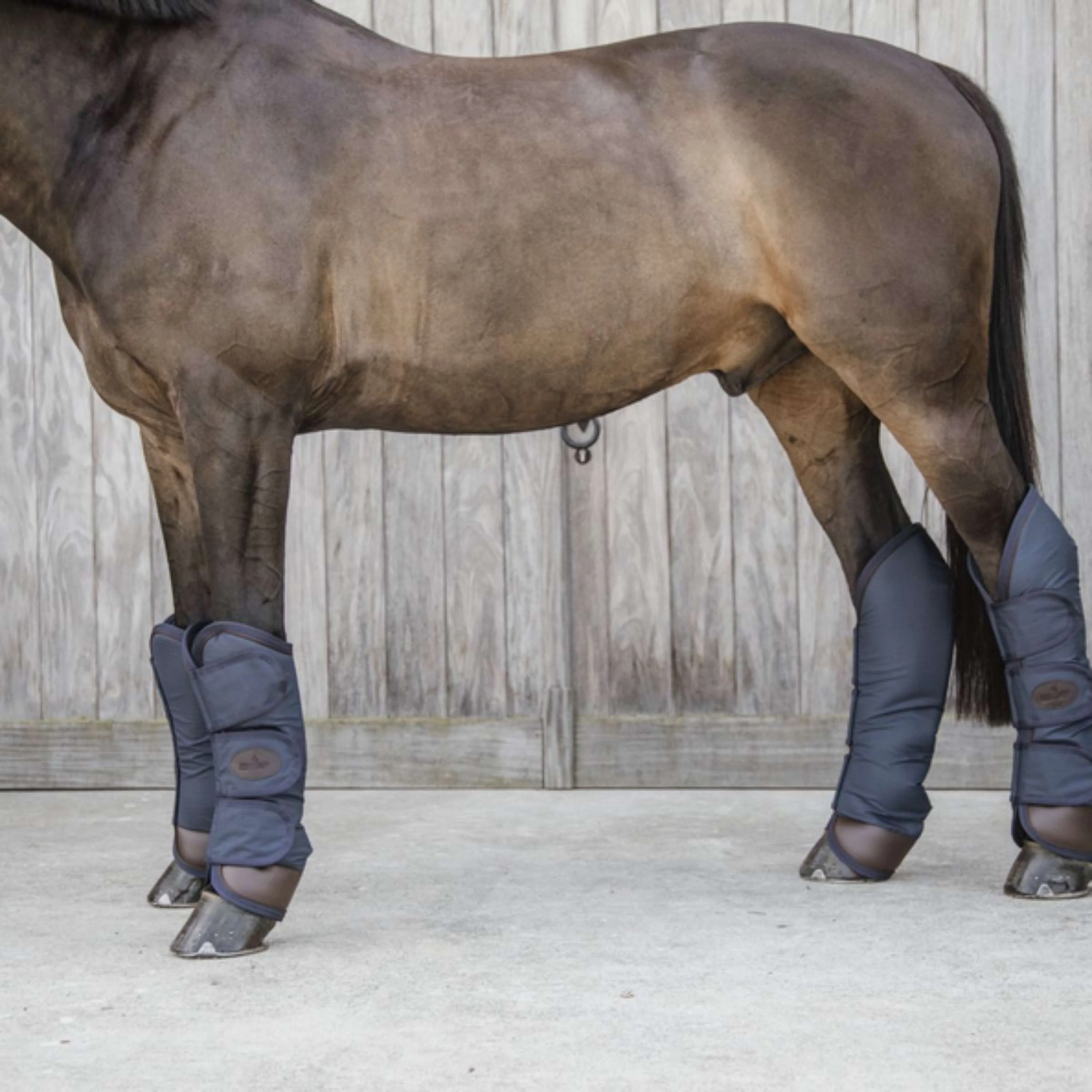 Kentucky Horsewear Protettori da trasporto Navy