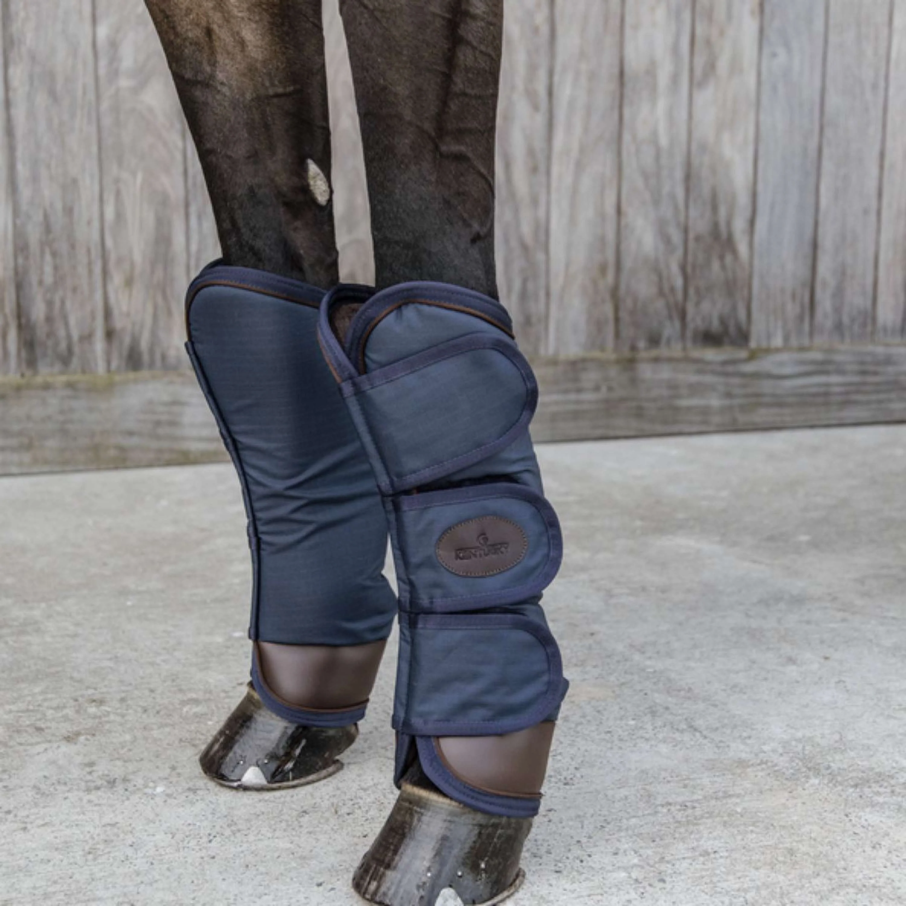 Kentucky Horsewear Protettori da trasporto Navy - Image 2