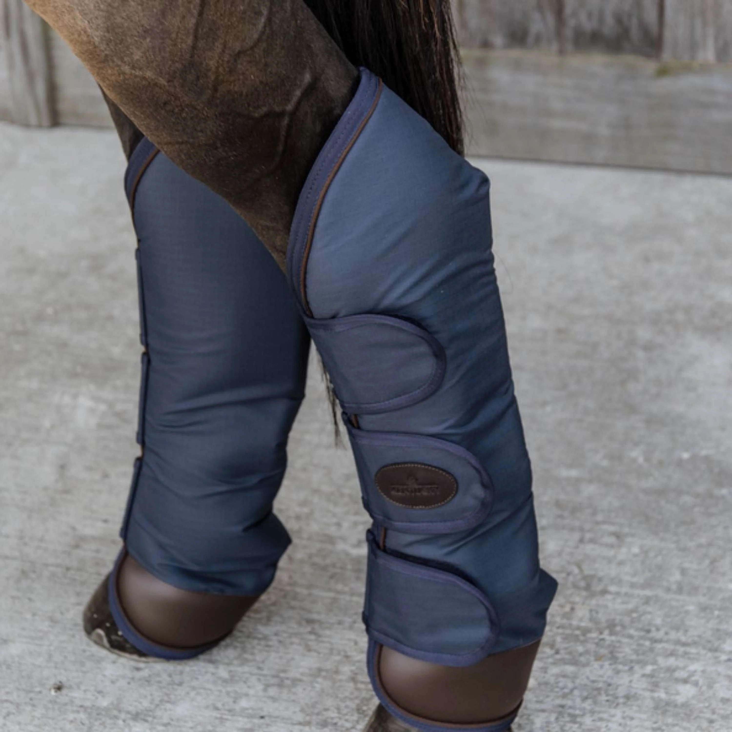 Kentucky Horsewear Protettori da trasporto Navy - Image 3