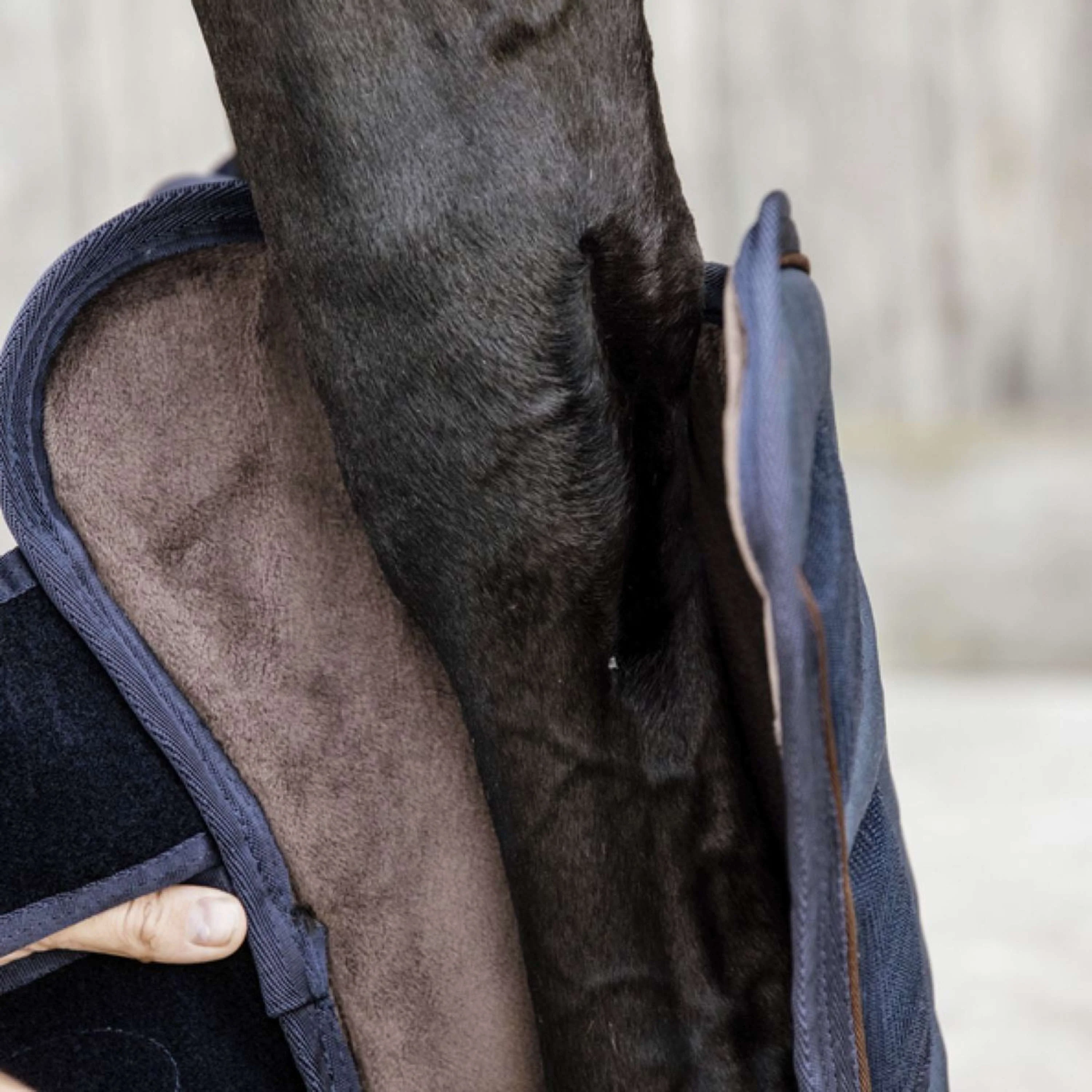 Kentucky Horsewear Protettori da trasporto Navy - Image 4