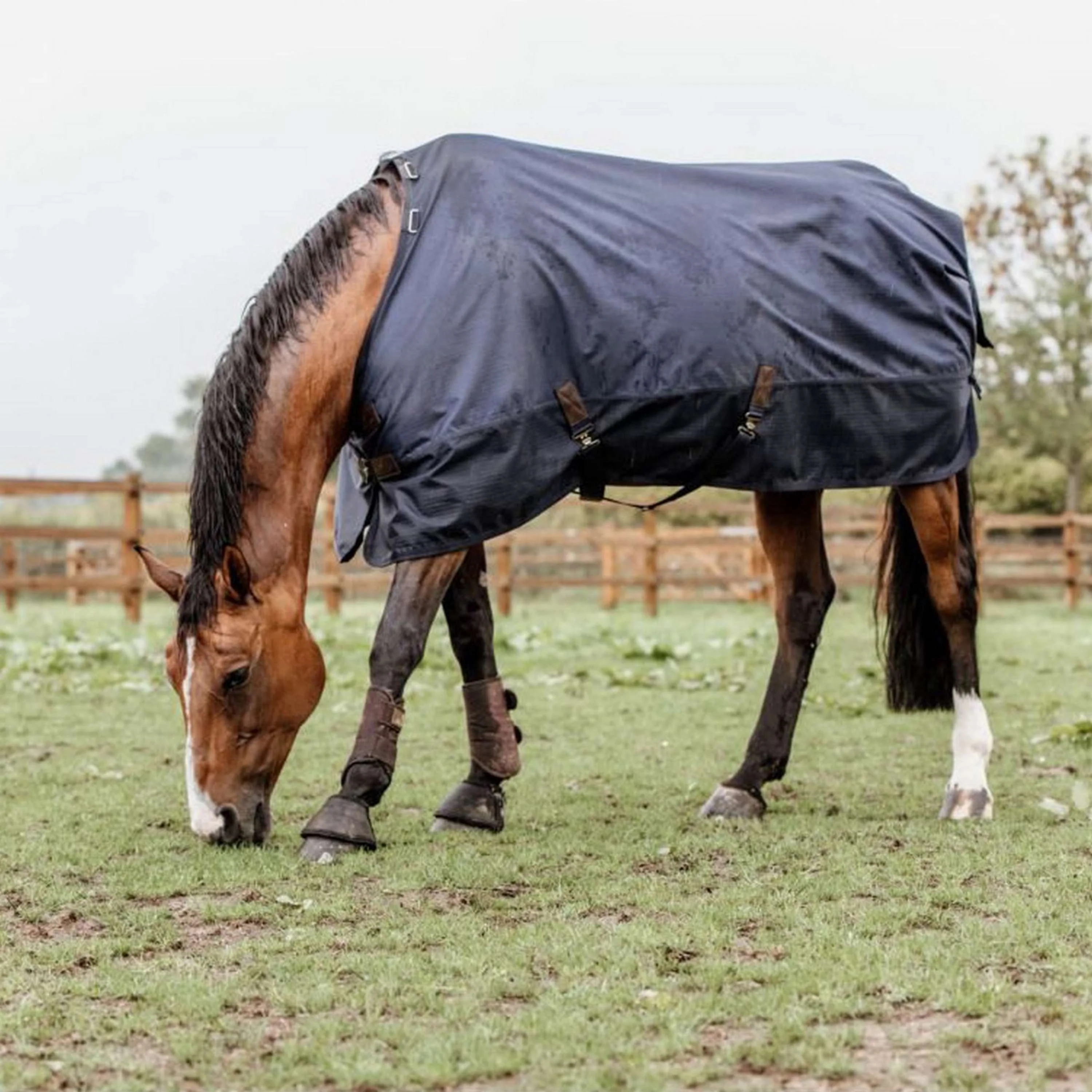 Kentucky Horsewear Ritorno dell'affluenza alle urne All Weather Waterproof Pro 0g Navy - Image 10