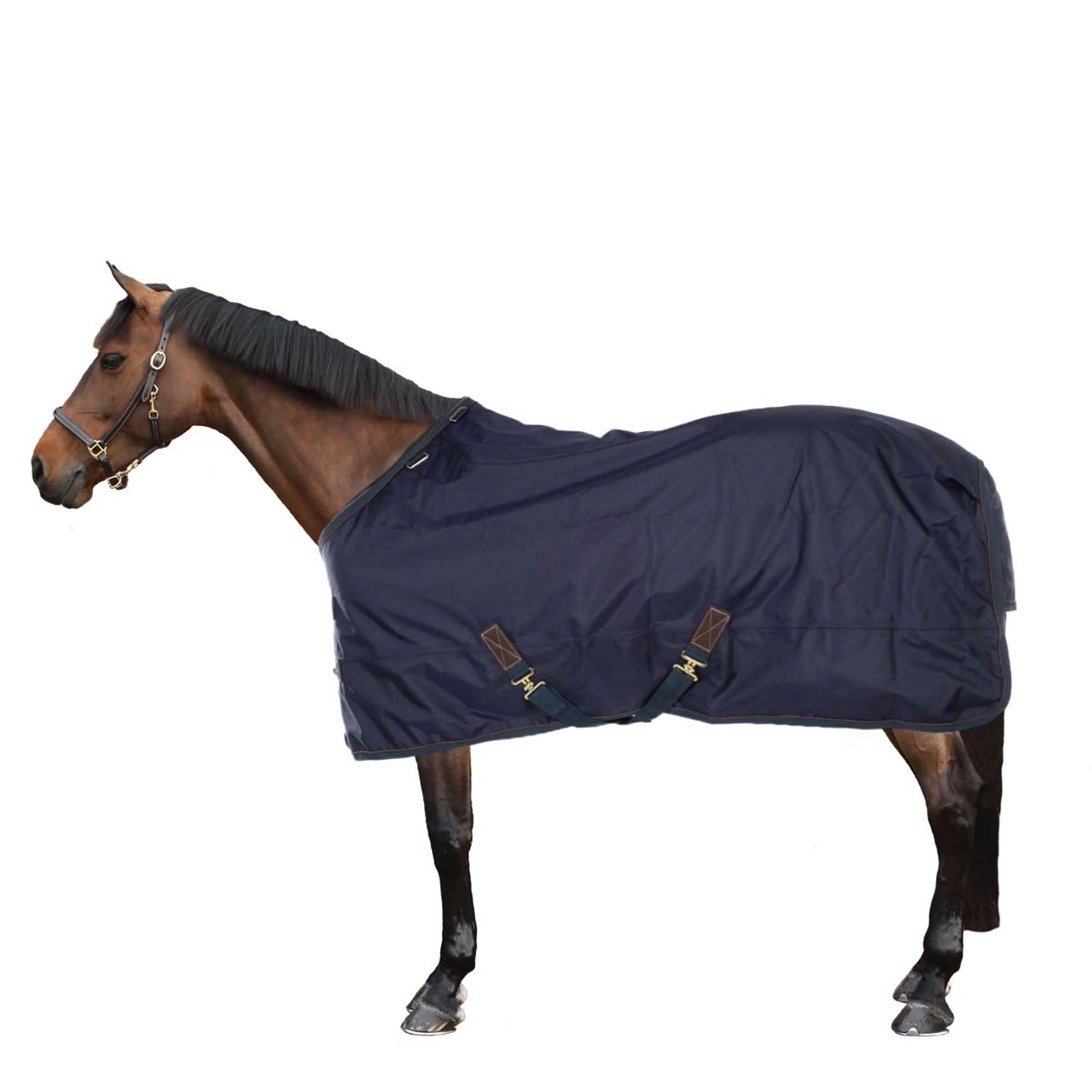 Kentucky Horsewear Ritorno dell'affluenza alle urne All Weather Waterproof Pro 0g Navy - Image 2