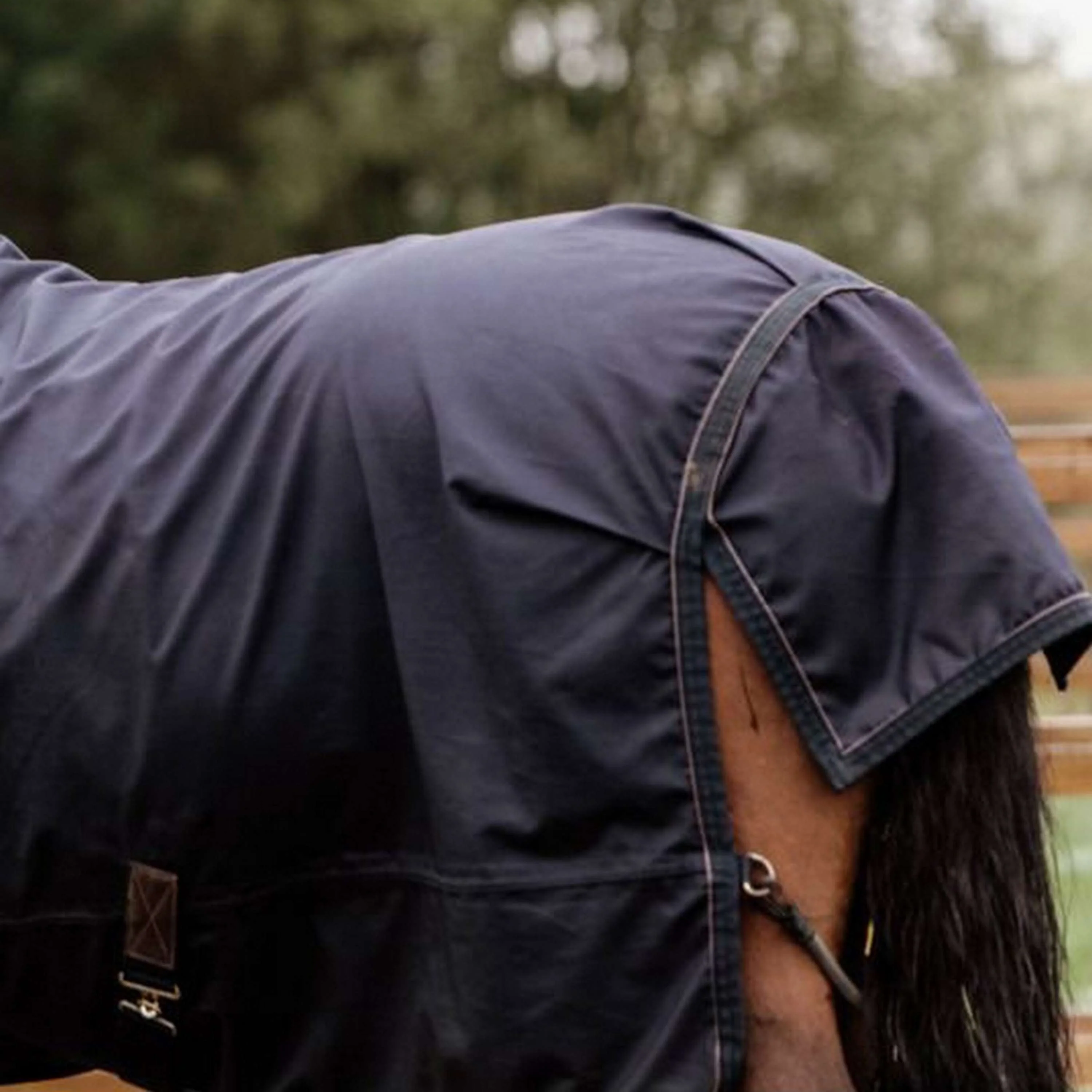 Kentucky Horsewear Ritorno dell'affluenza alle urne Per tutte le stagioni 0g Navy - Image 6