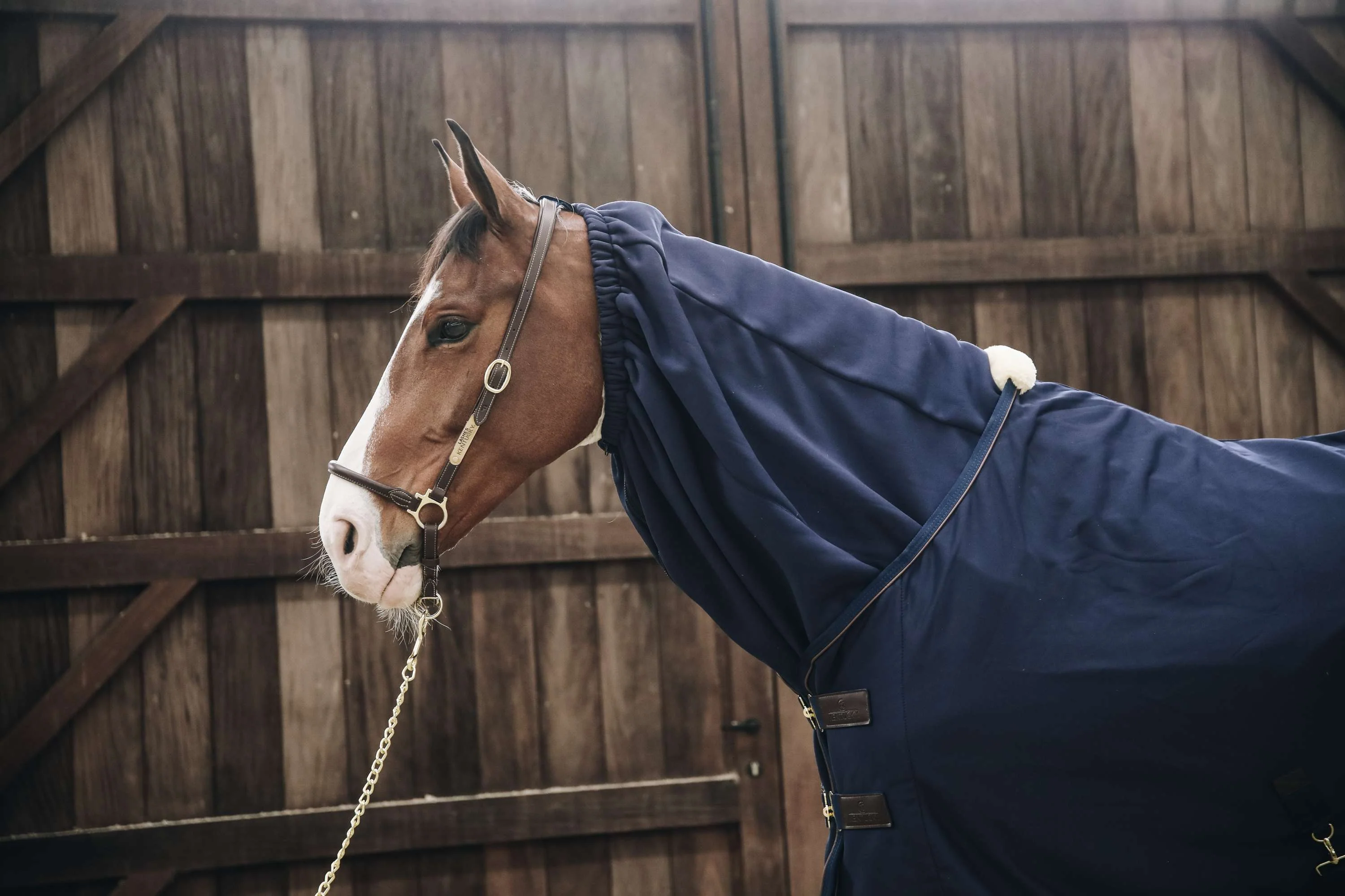 Kentucky Horsewear Sciarpa del cavallo Pile più fresco Navy