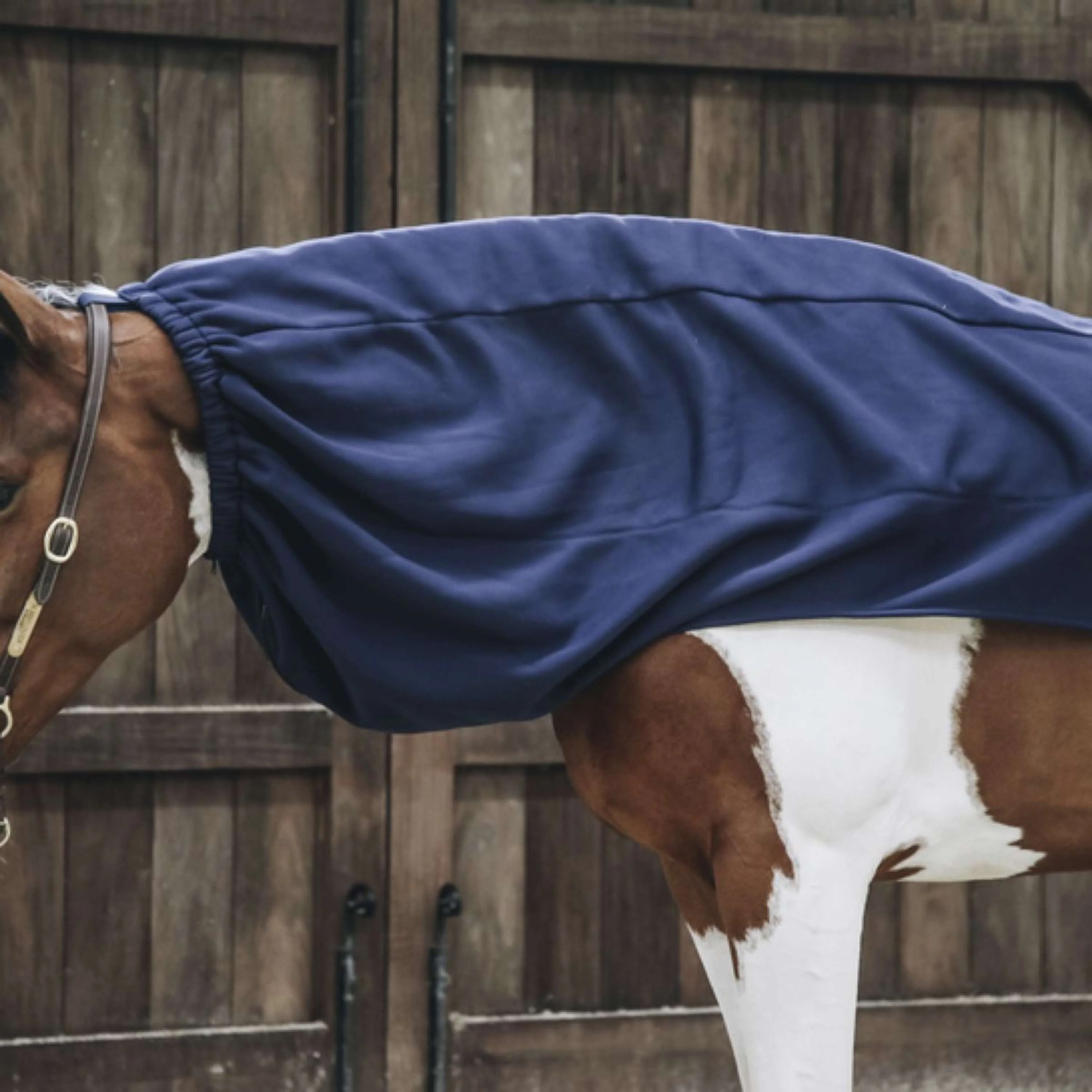 Kentucky Horsewear Sciarpa del cavallo Pile più fresco Navy - Image 2