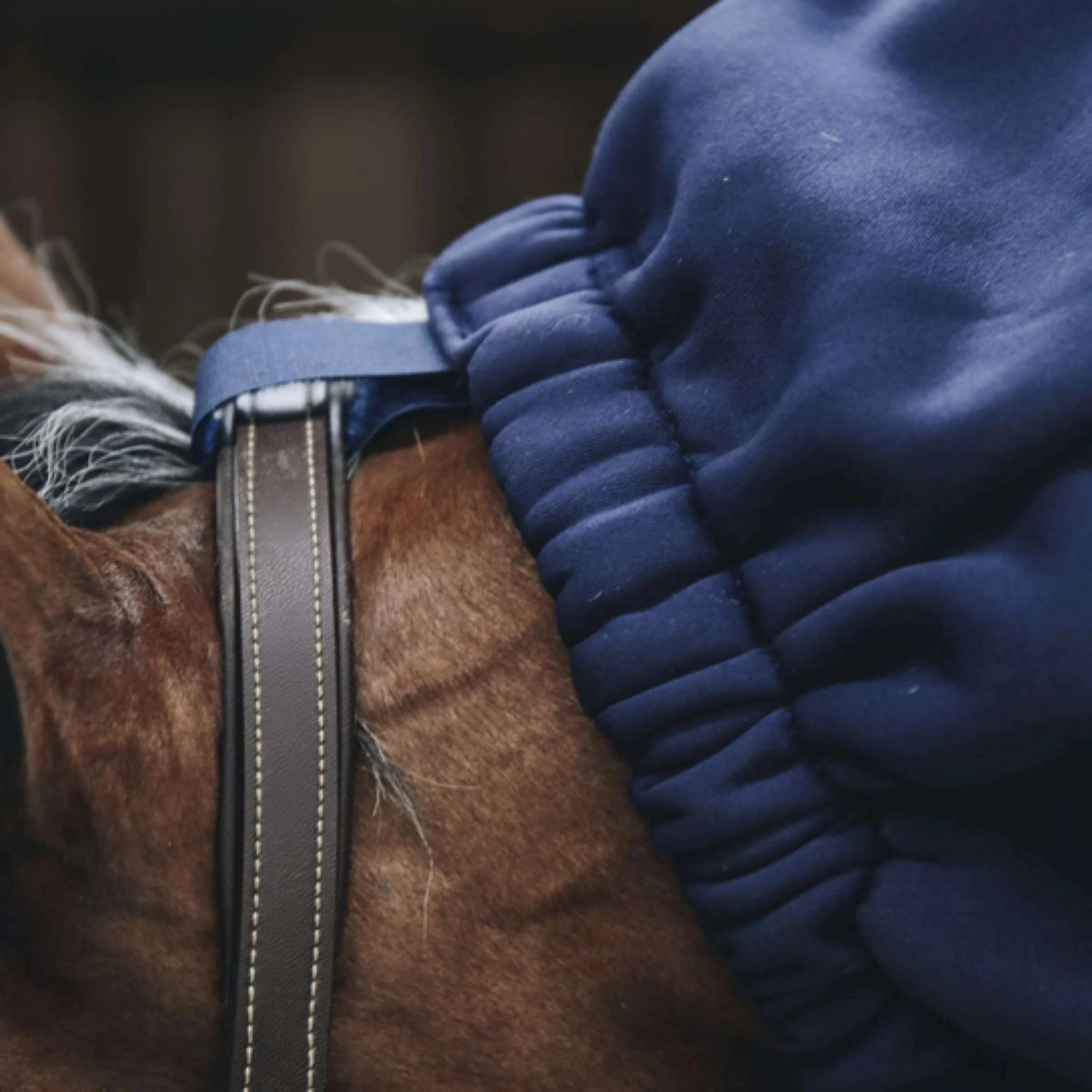 Kentucky Horsewear Sciarpa del cavallo Pile più fresco Navy - Image 4