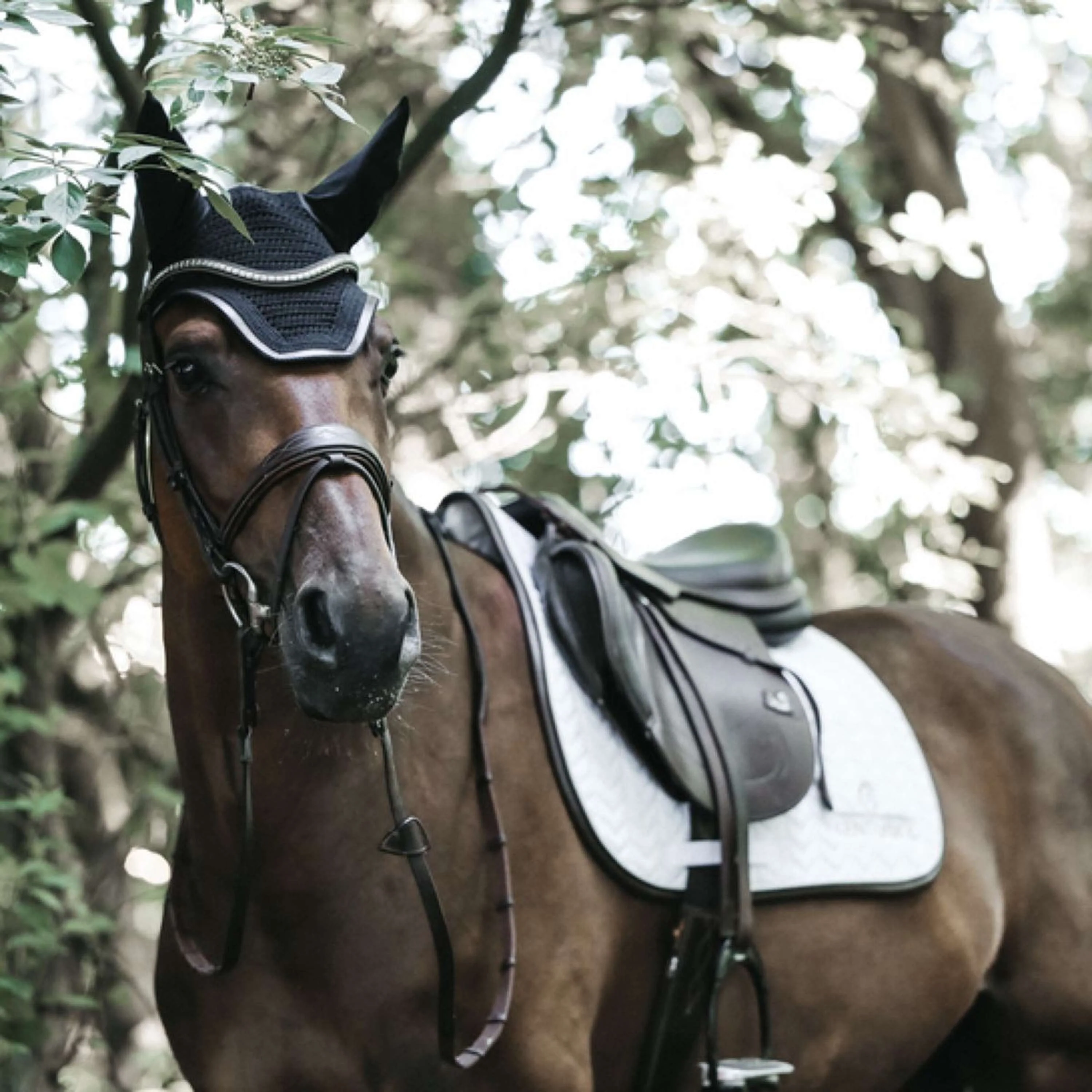 Kentucky Horsewear Sottosella da Salto Fishbone Bianco - Image 4